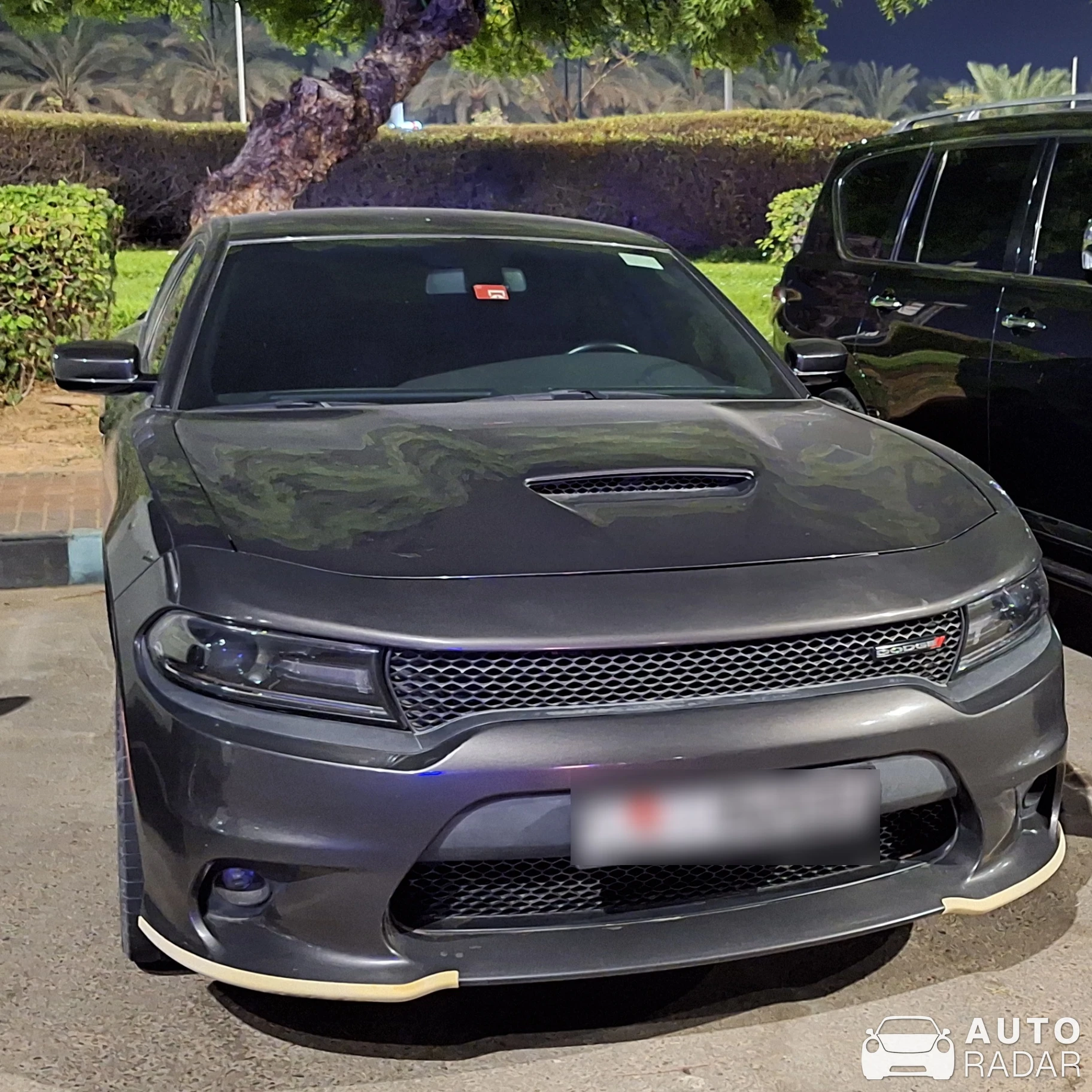 Dodge Charger spotted in Abu Dhabi, United Arab Emirates