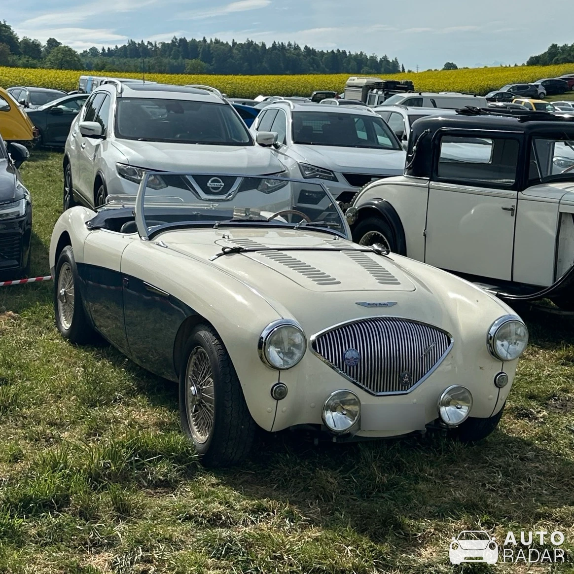 Austin-Healey 100/4 spotted in Rudolfstetten-Friedlisberg