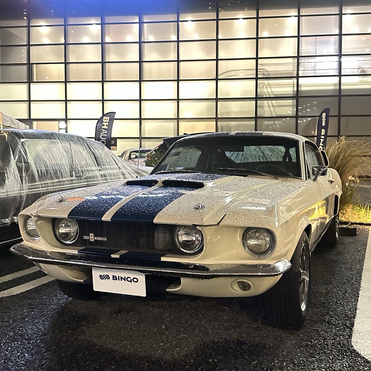 Ford Mustang Shelby G.T. 350