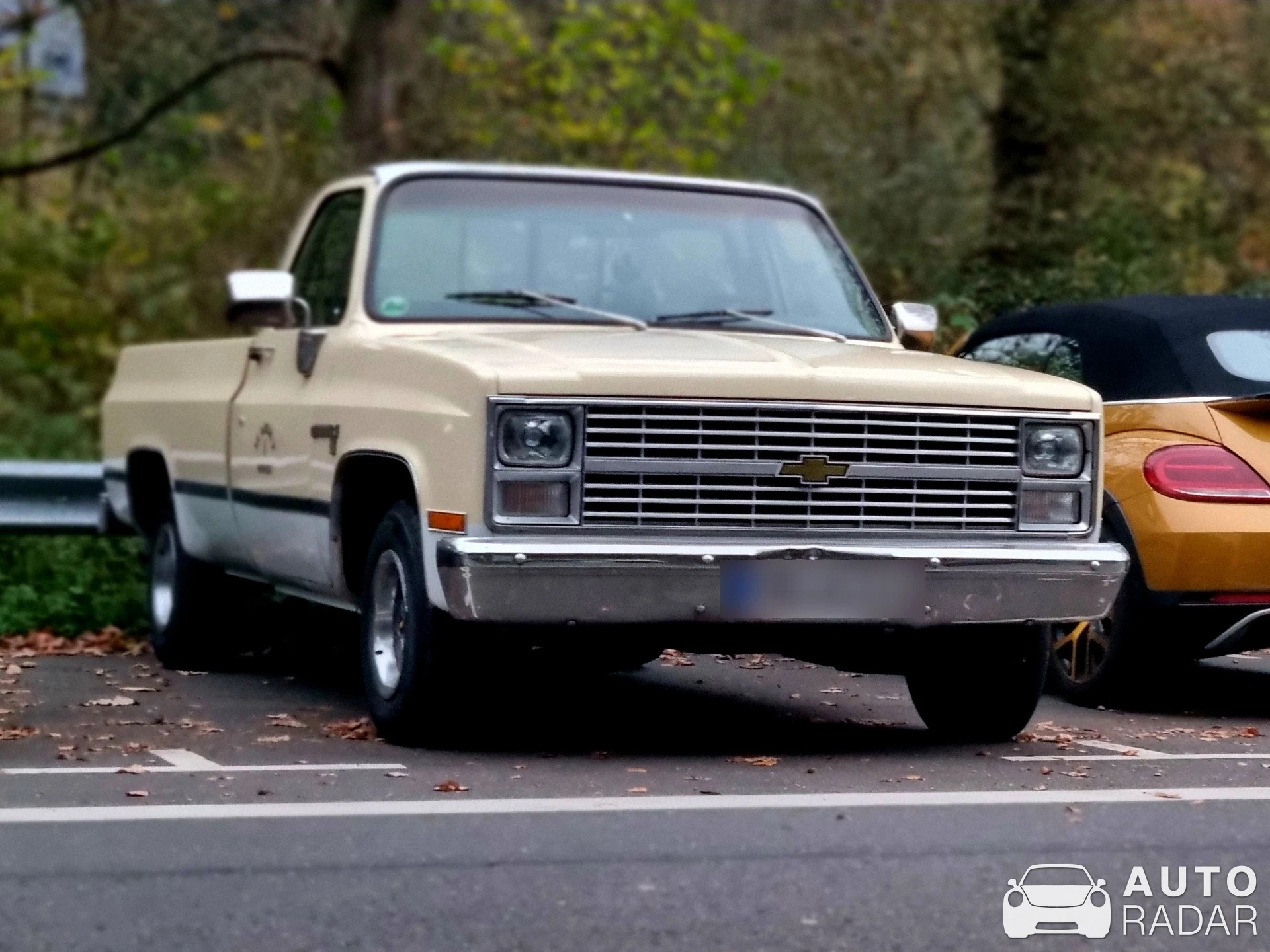 Chevrolet C10 spotted in Monschau, Germany