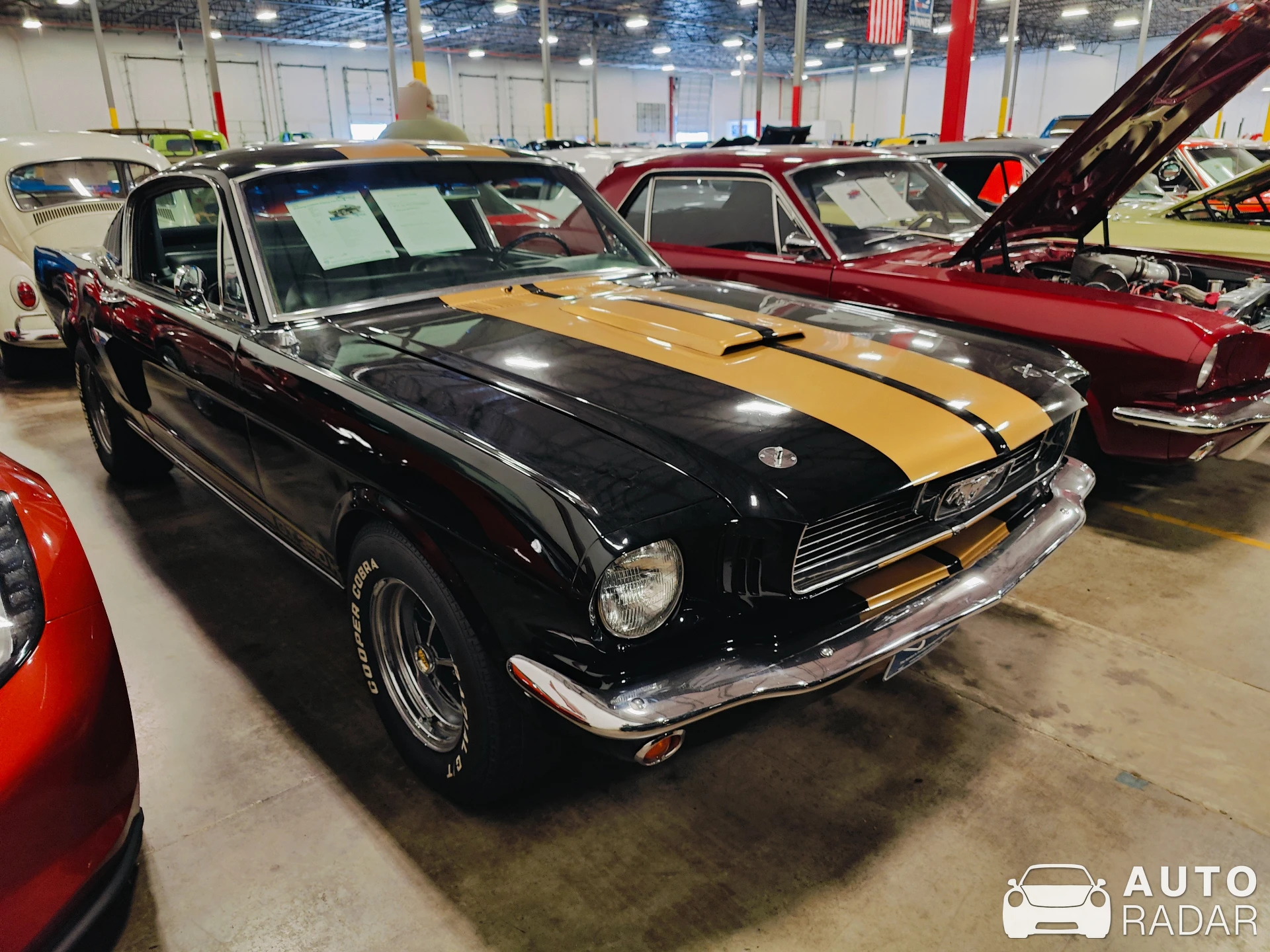Ford Mustang GT350-H spotted in Fort Worth