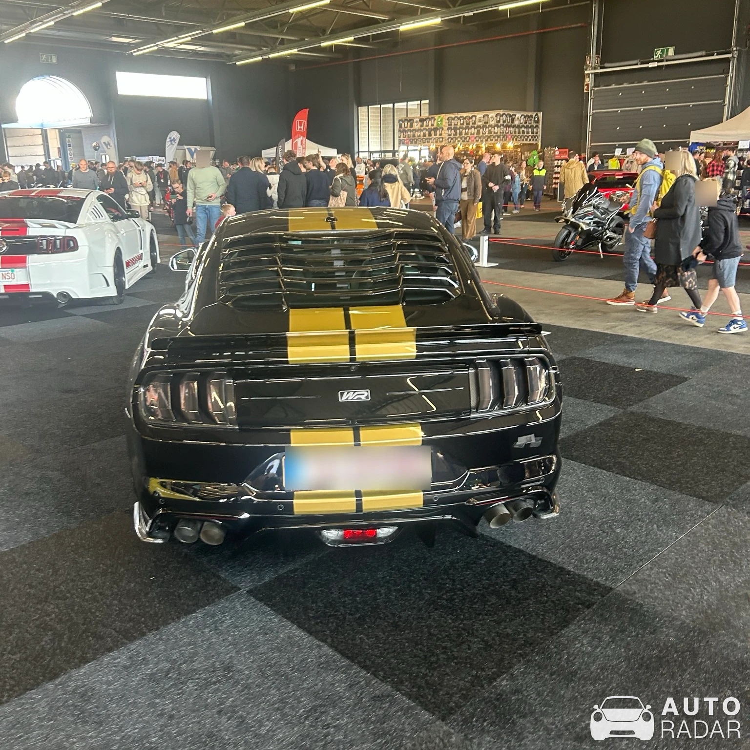 Ford Mustang GT 2018 Wolf Racing spotted in Gent, Belgium