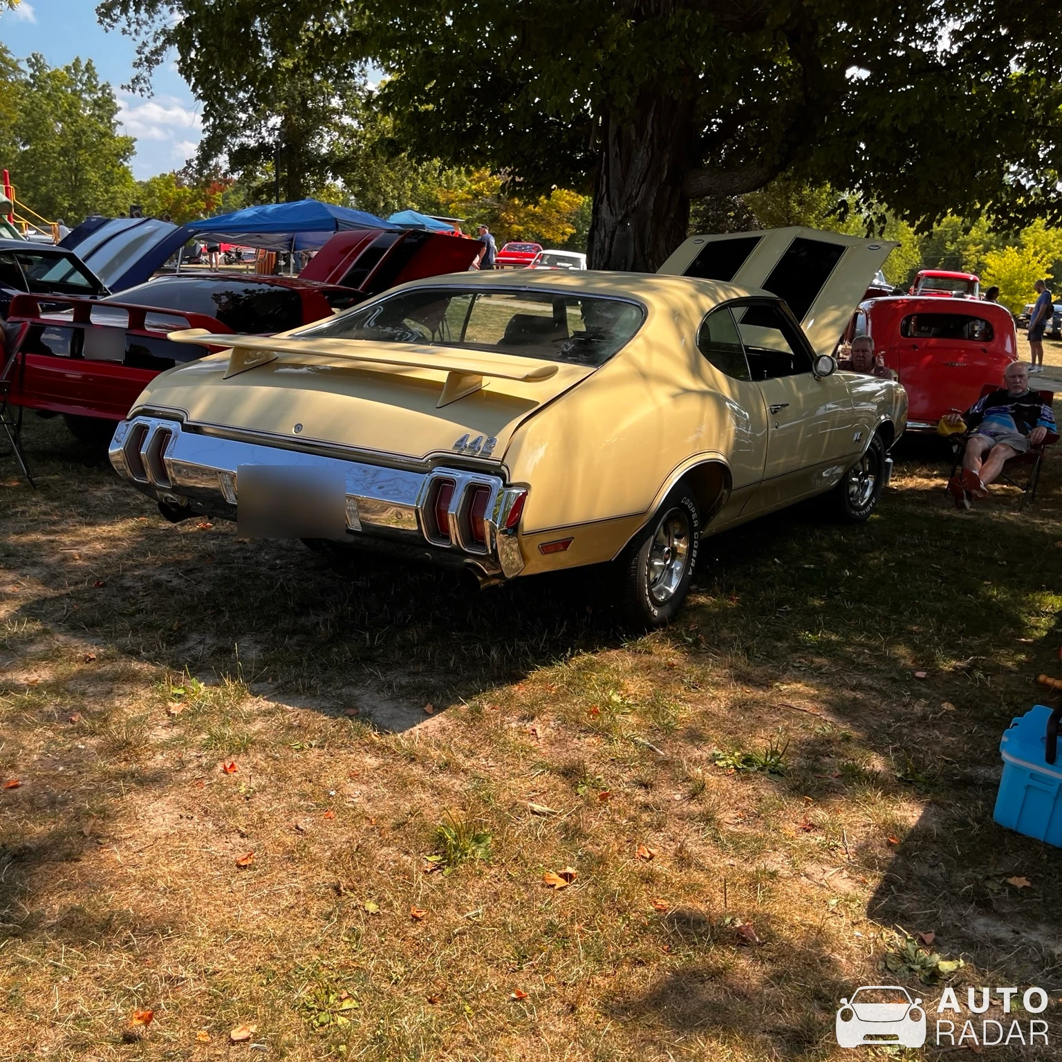 Oldsmobile 442 spotted in Crystal