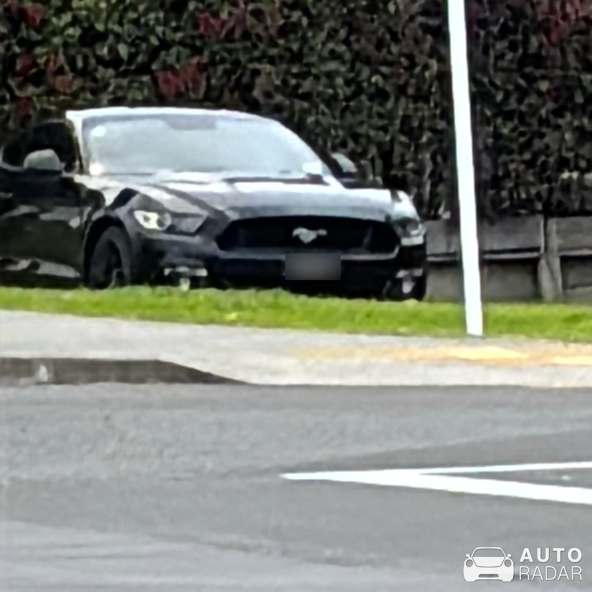 Ford Mustang GT spotted in Orewa