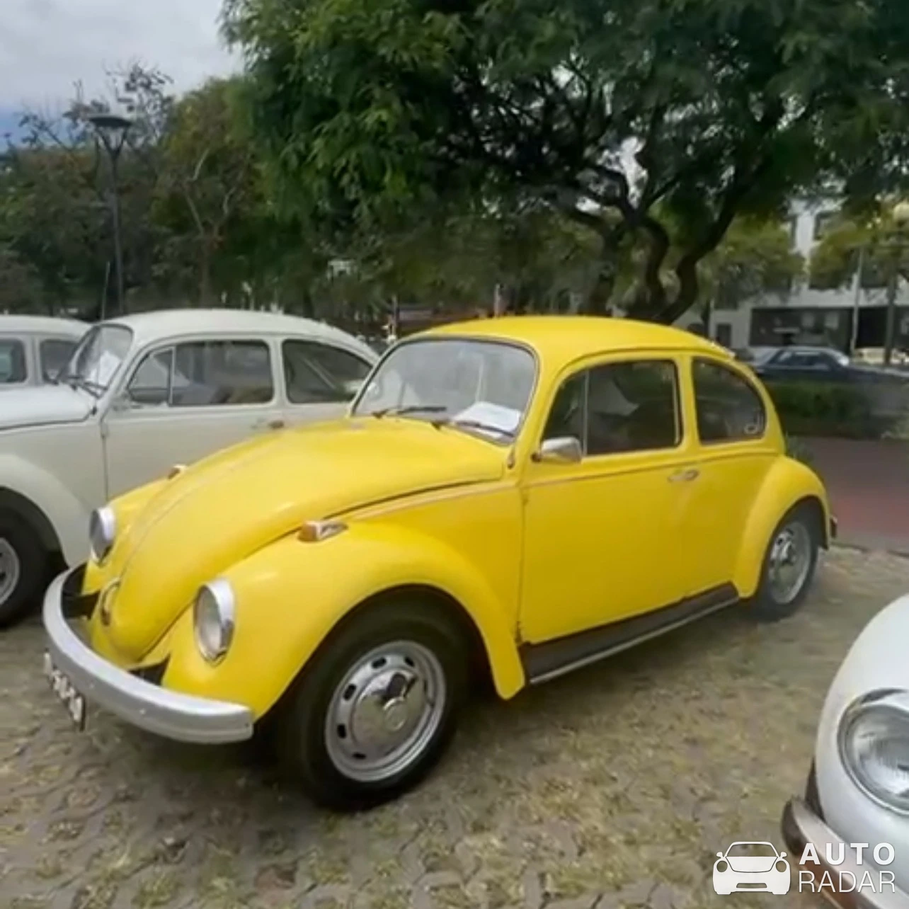 Volkswagen Beetle spotted in Lisbon, Portugal