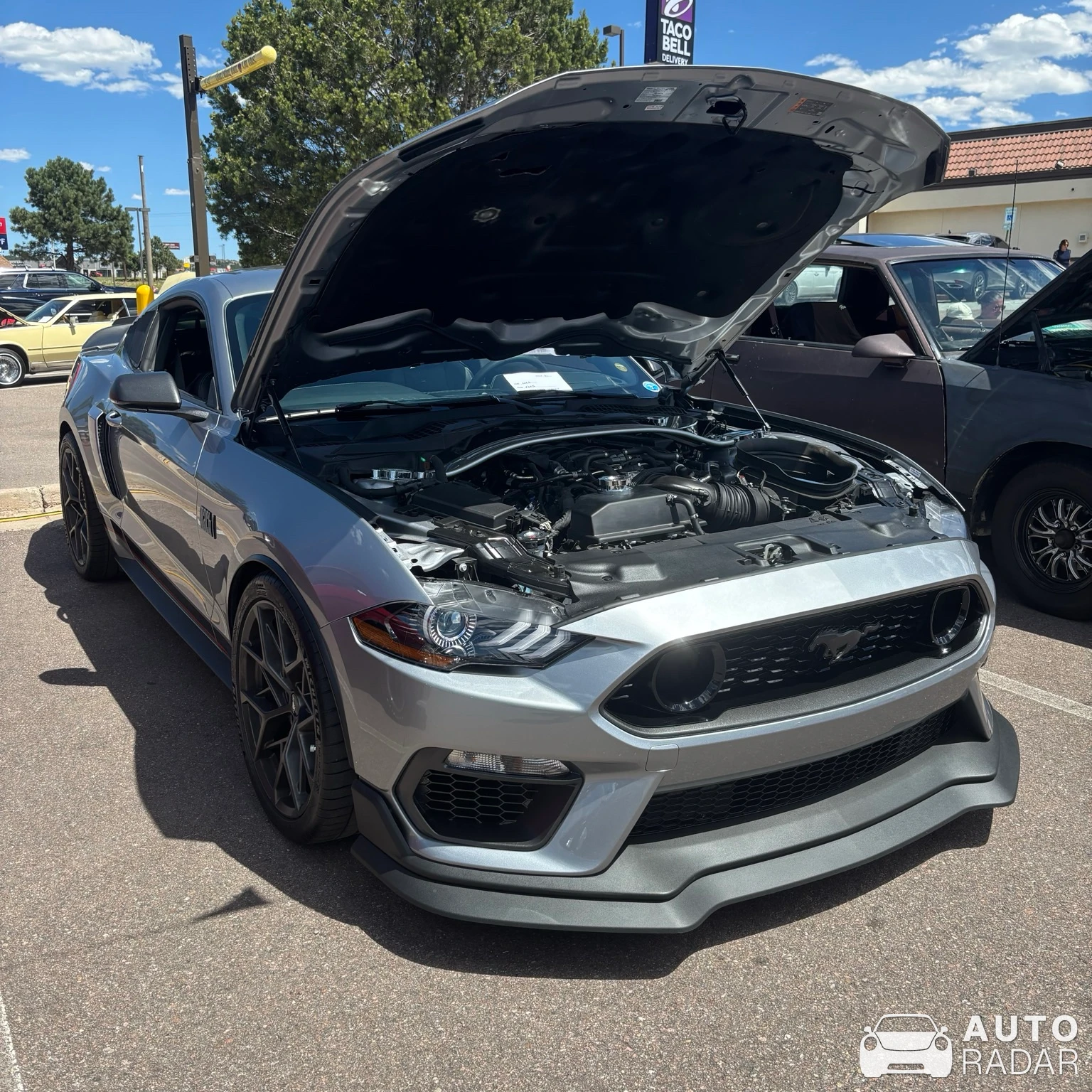 Ford Mustang Mach 1 1969 spotted in Colorado Springs