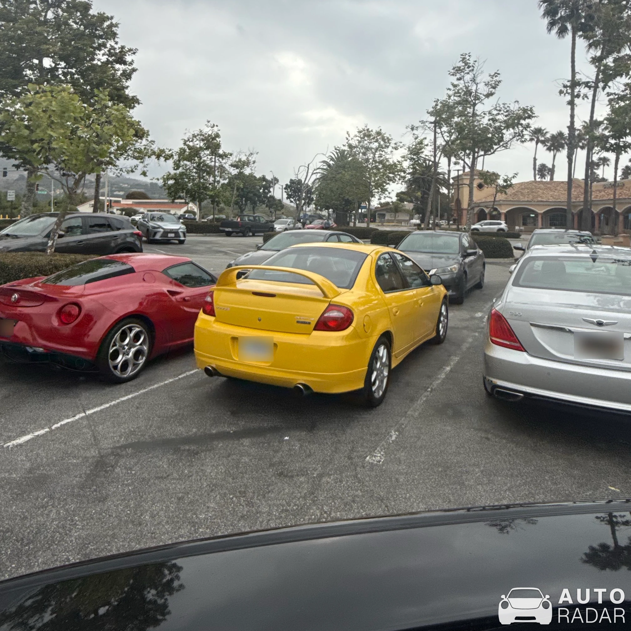 Dodge Neon SRT-4 spotted in Malibu