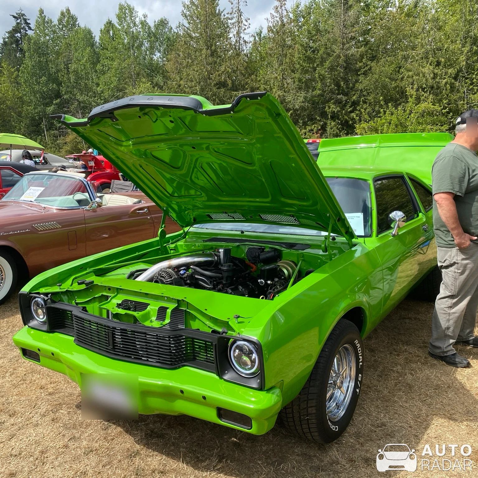 Dodge Aspen spotted in Coombs