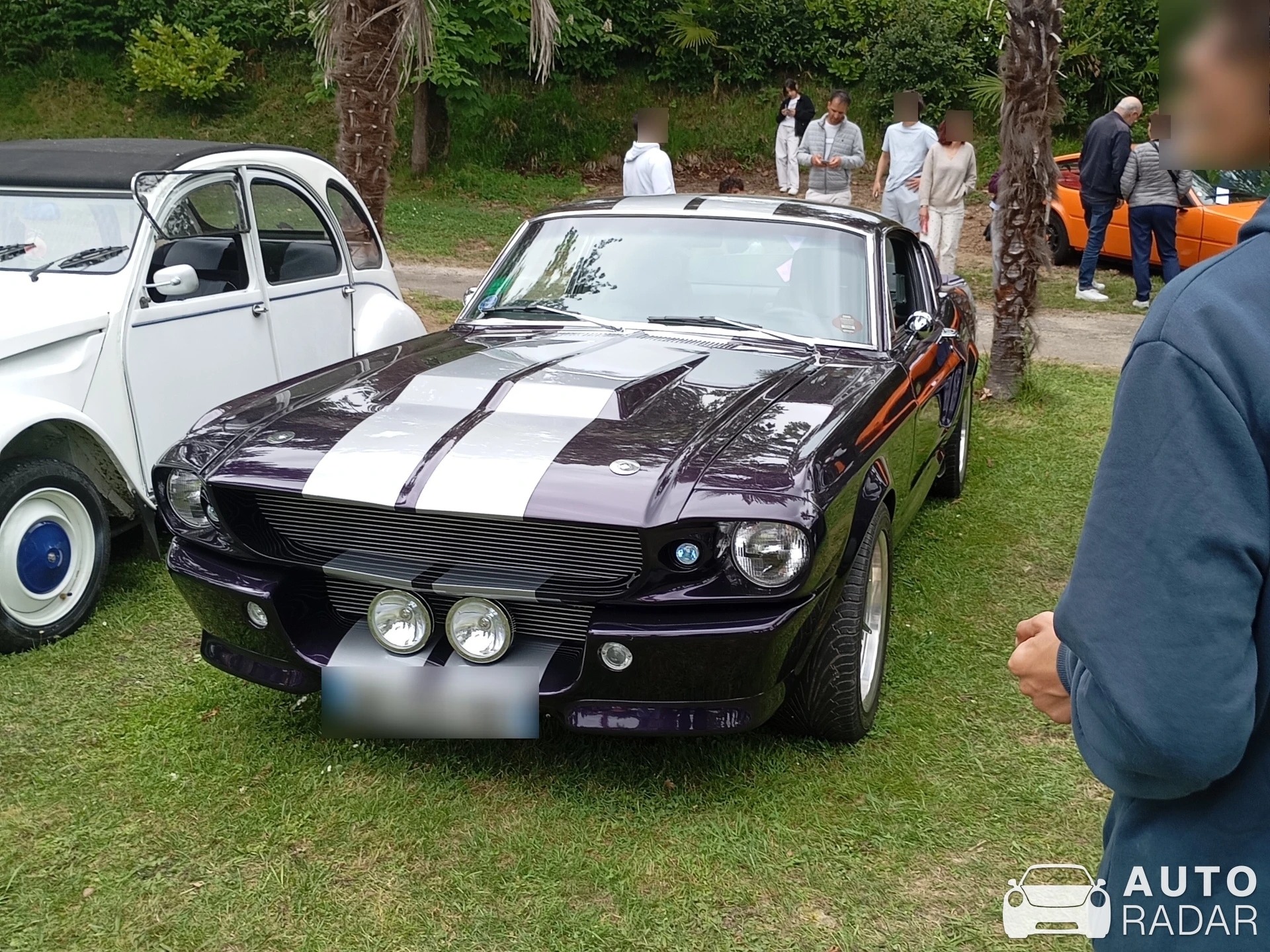 Ford Mustang Shelby G.T. 500E Eleanor spotted in Salies-de-Béarn