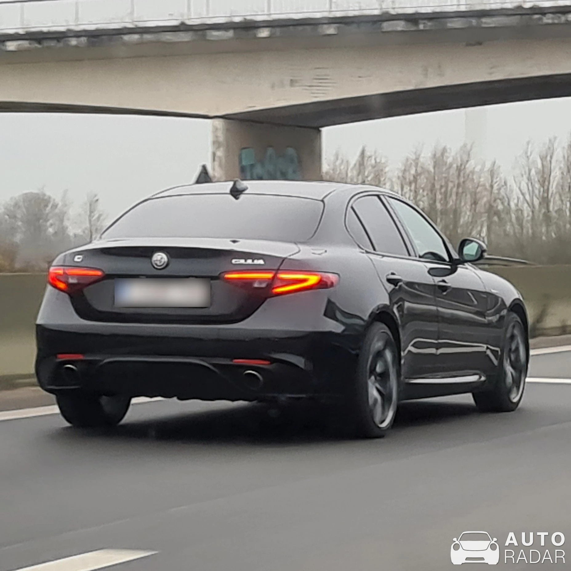 Alfa Romeo Giulia spotted in Lokeren, Belgium