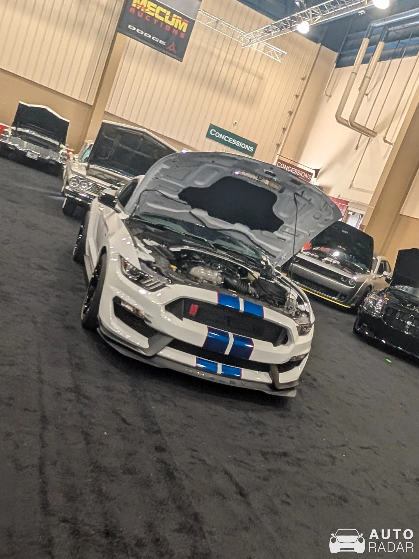 Ford Mustang Shelby GT350R 2015 spotted in Magaragadi, Nepal