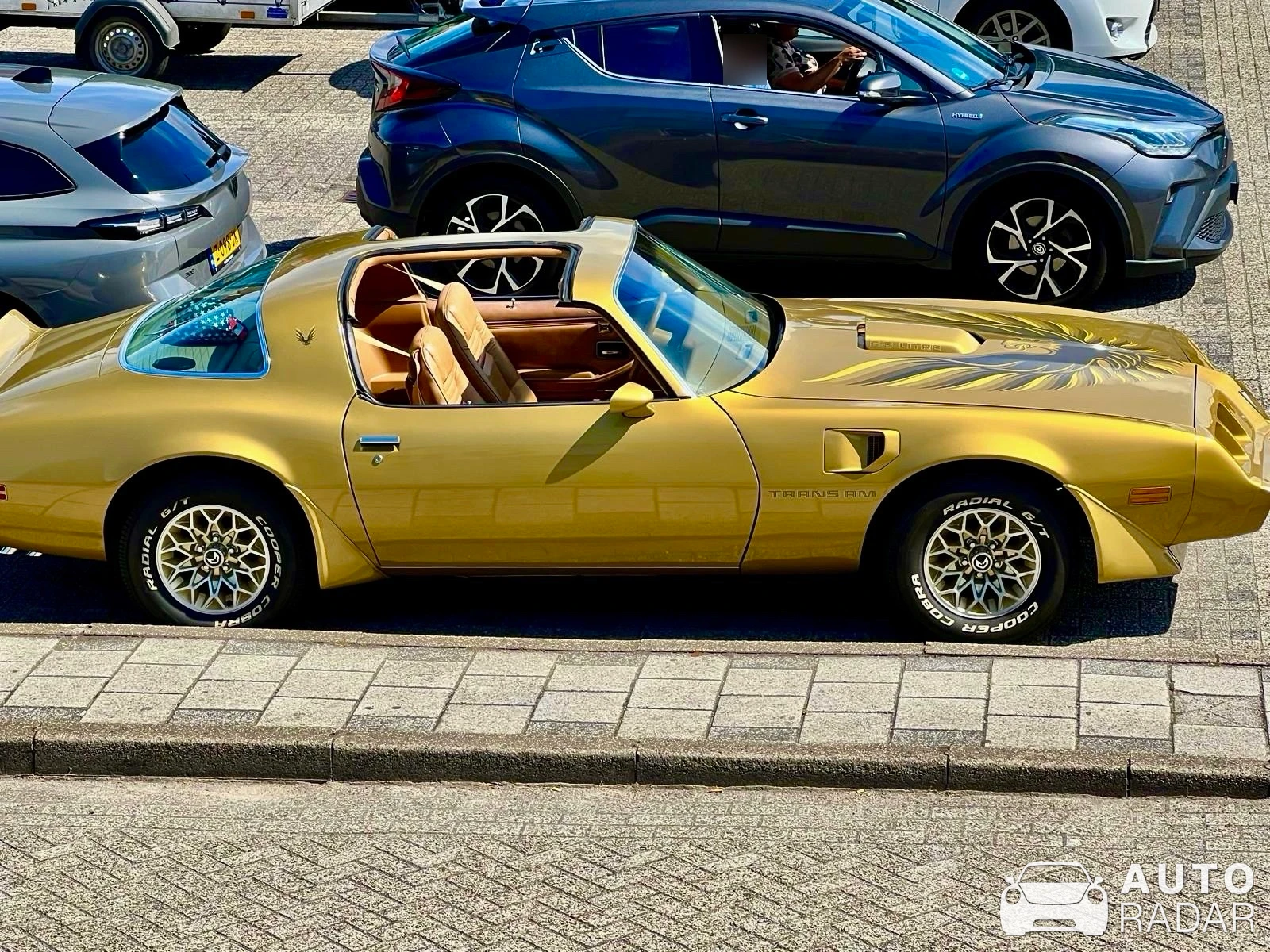 Pontiac Firebird Turbo Trans Am spotted in Naaldwijk