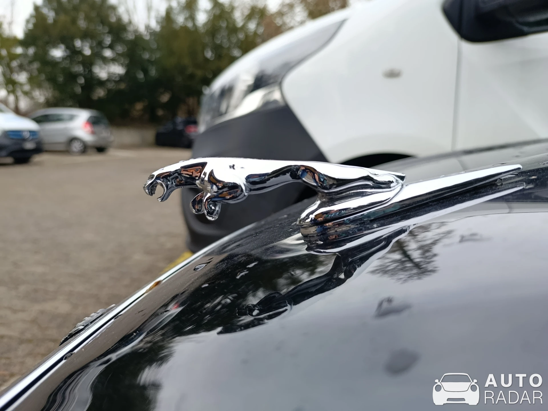 Jaguar XJ spotted in Wettingen, Switzerland