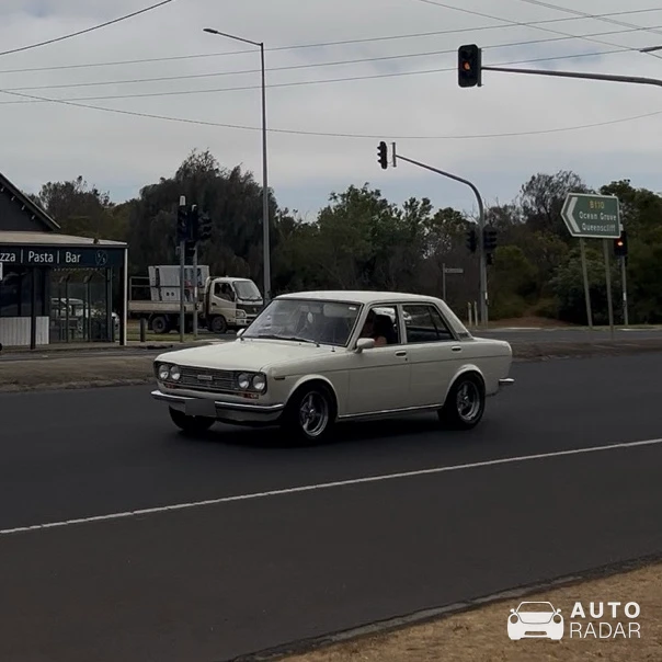 Datsun 1600 spotted in Leopold