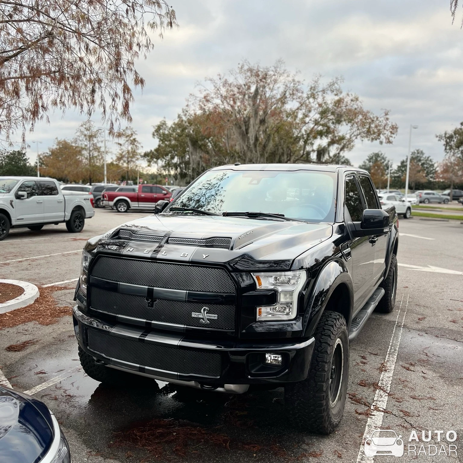 Ford F-150 Shelby spotted in Bay Lake, United States
