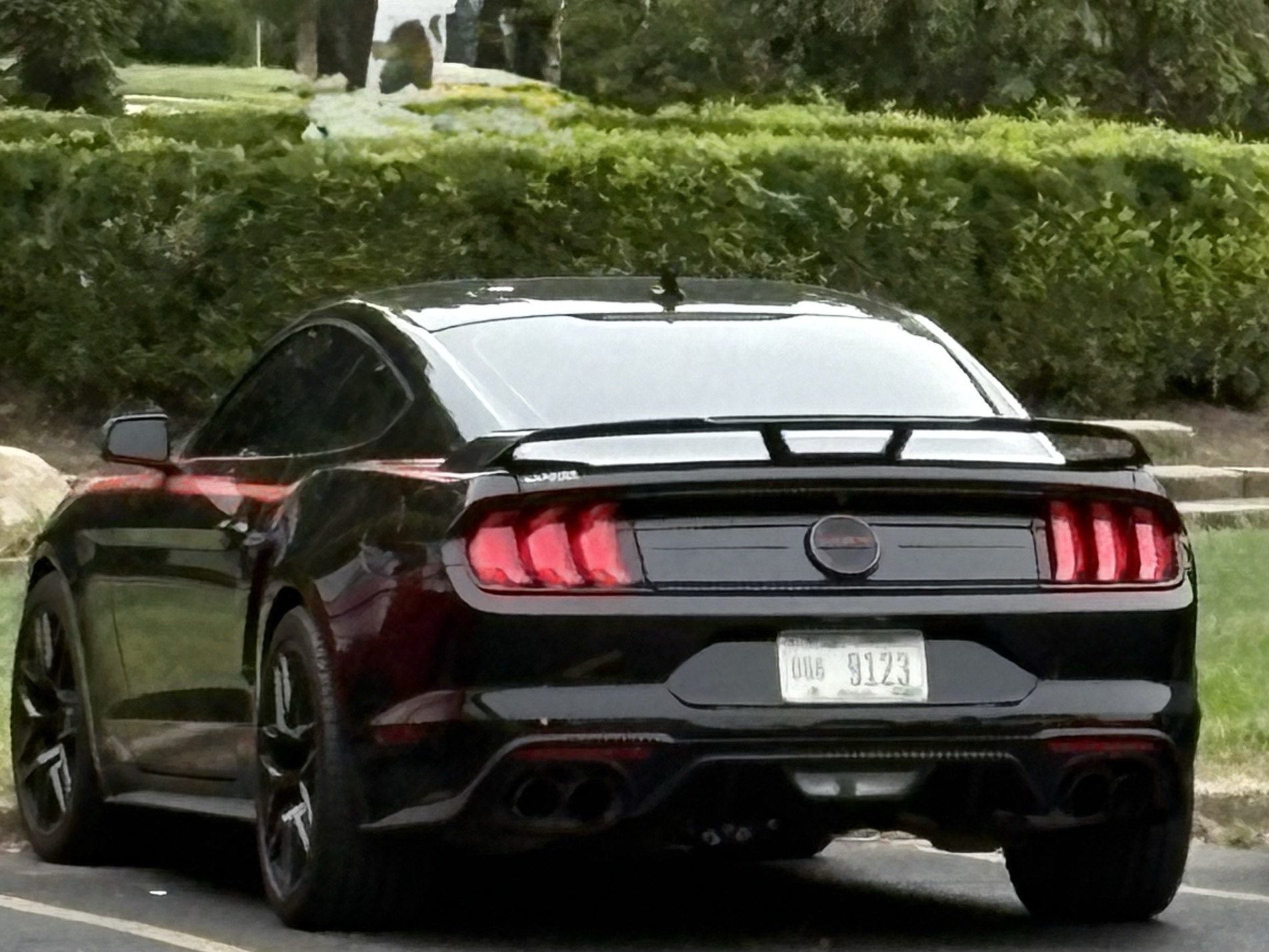 Ford Mustang GT/CS