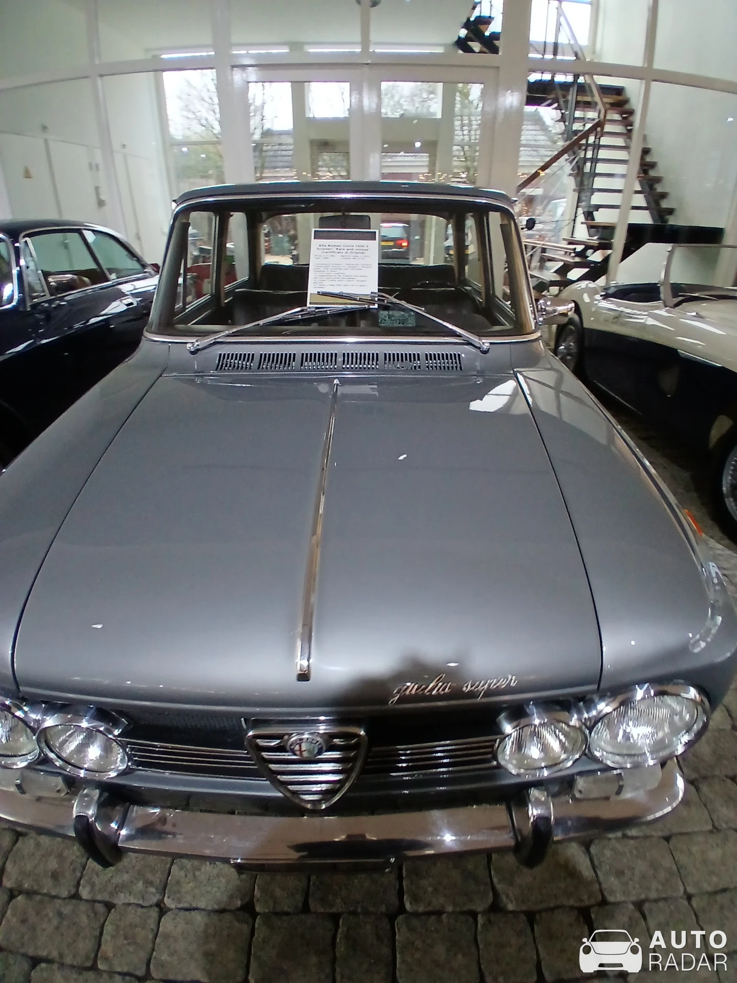 Alfa Romeo Giulia Super 1600 spotted in Brummen