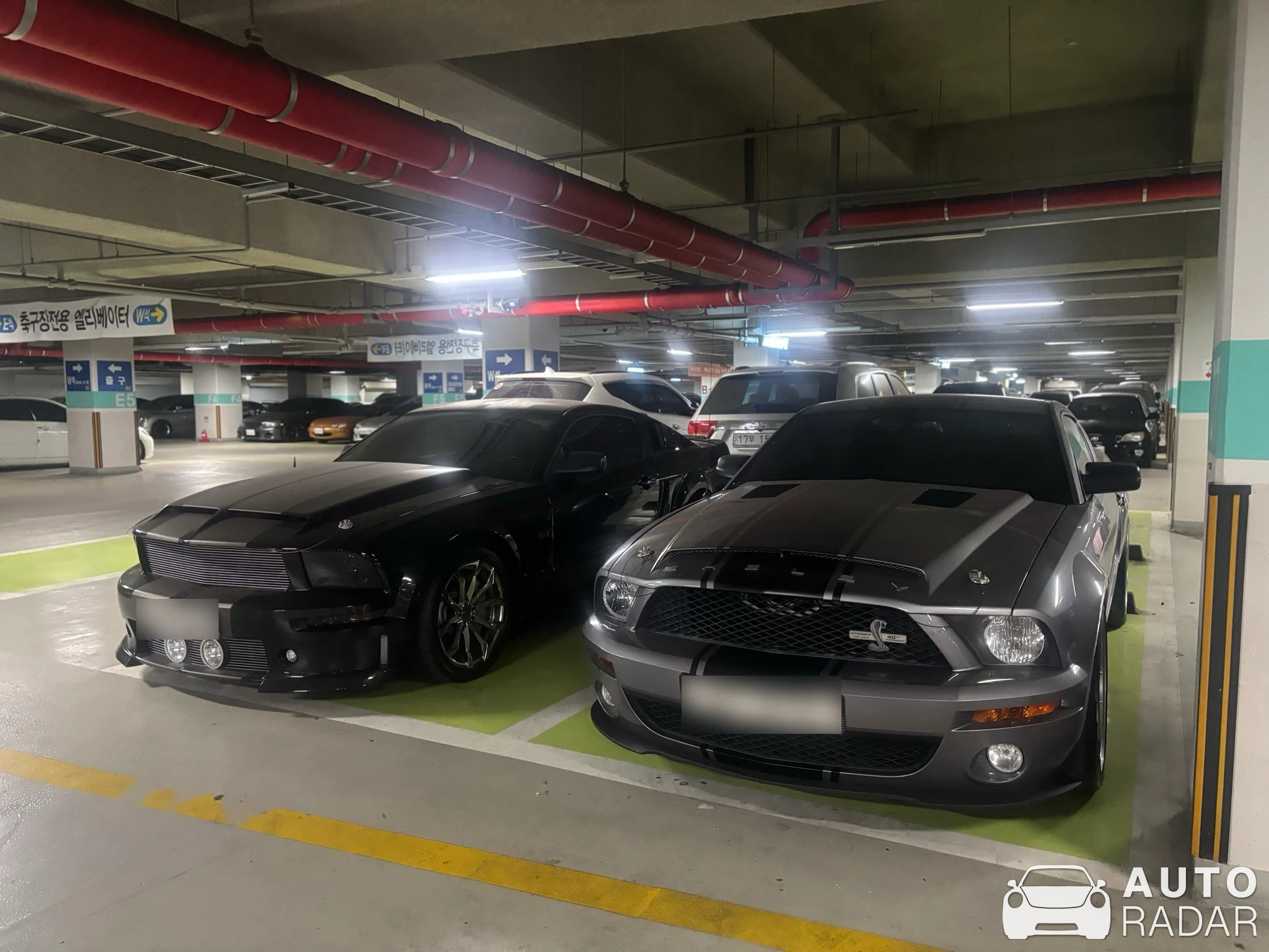 Ford Mustang Shelby GT500 KR 40th Anniversary Edition spotted