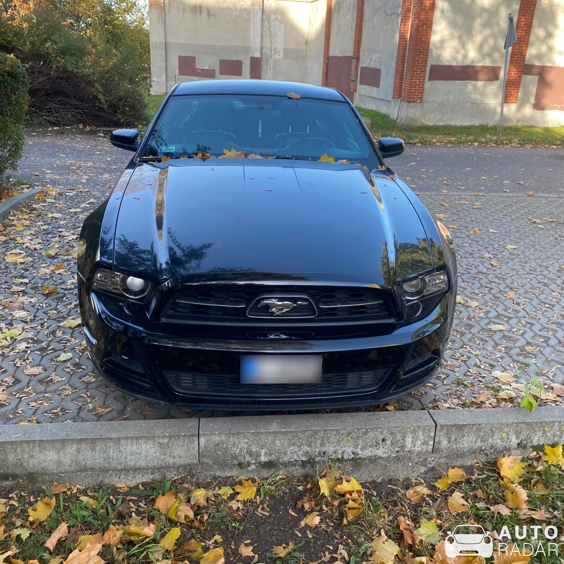 Ford Mustang GT spotted in Bydgoszcz, Poland
