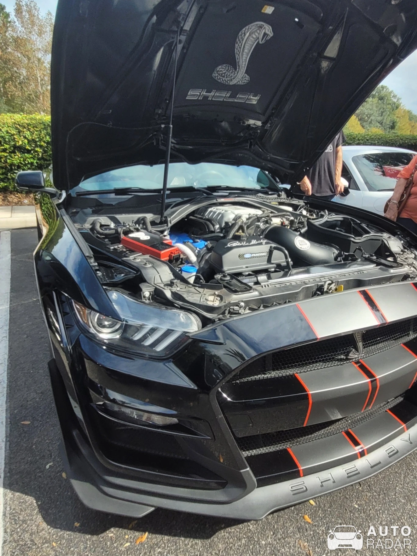 Ford Mustang Shelby GT500 spotted in Tioga, United States