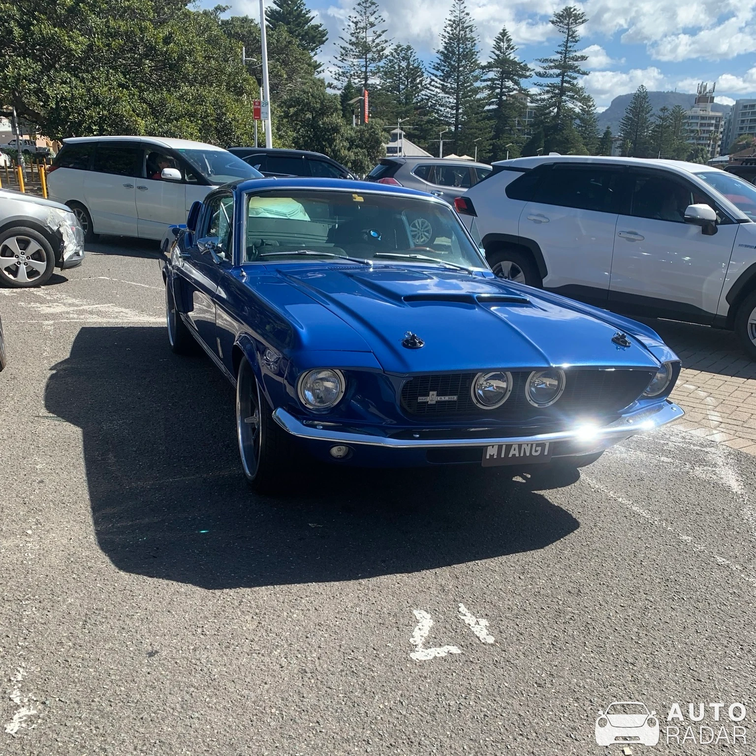 Ford Mustang Shelby GT500 2010 spotted in Fairy Meadow