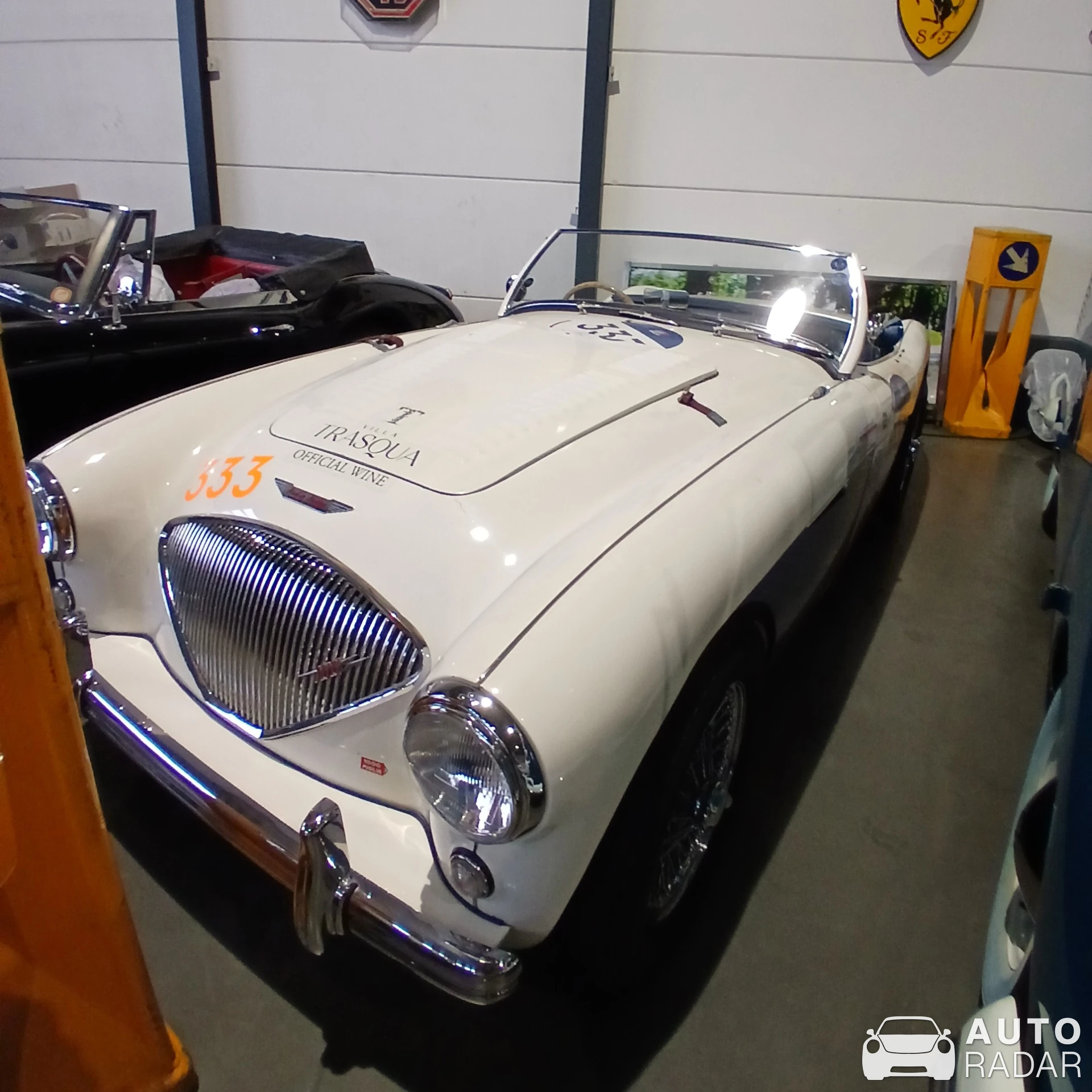 Austin-Healey 1956 M 100 spotted in Hengelo