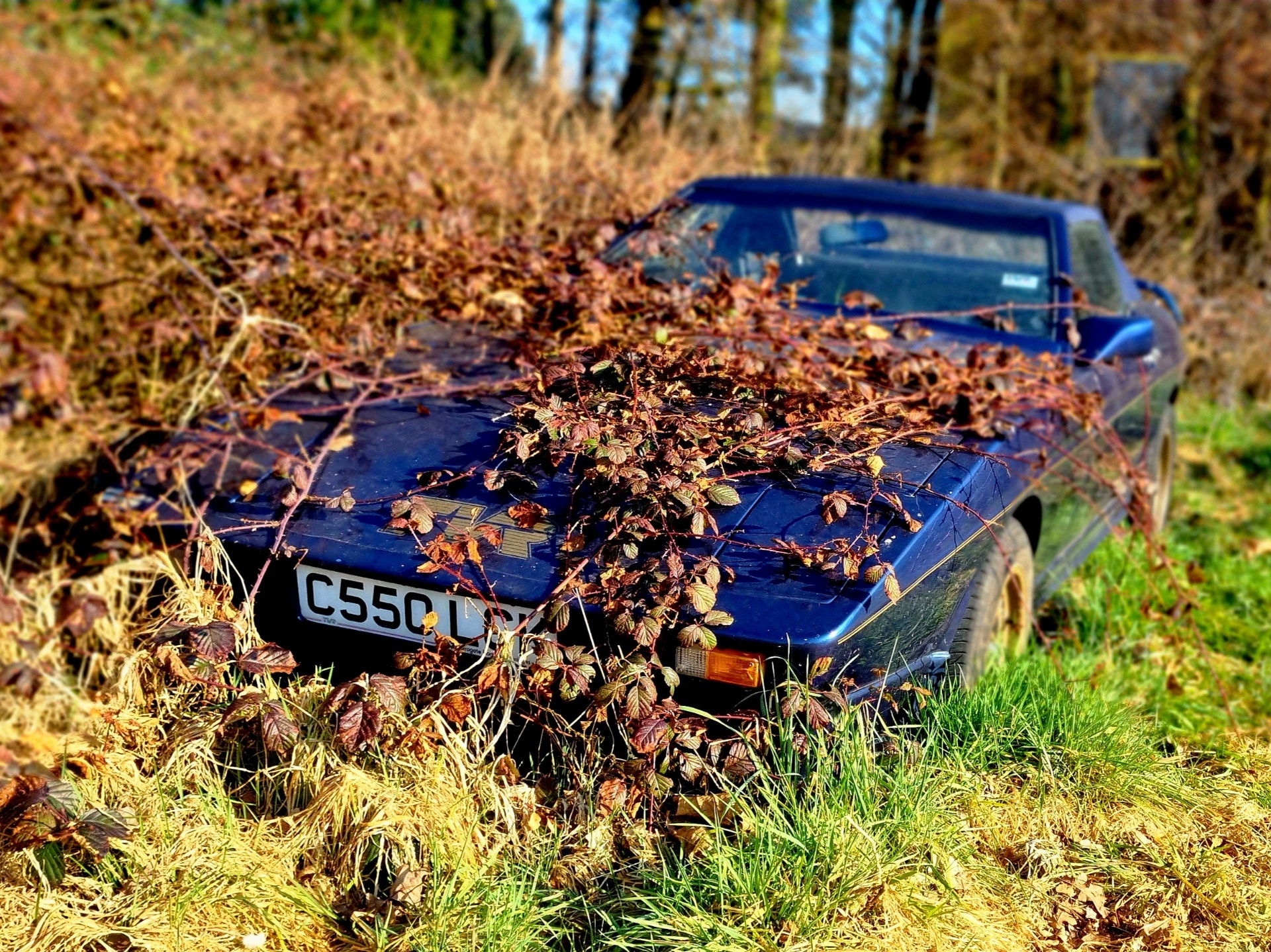 TVR 350i Tasmin Convertible