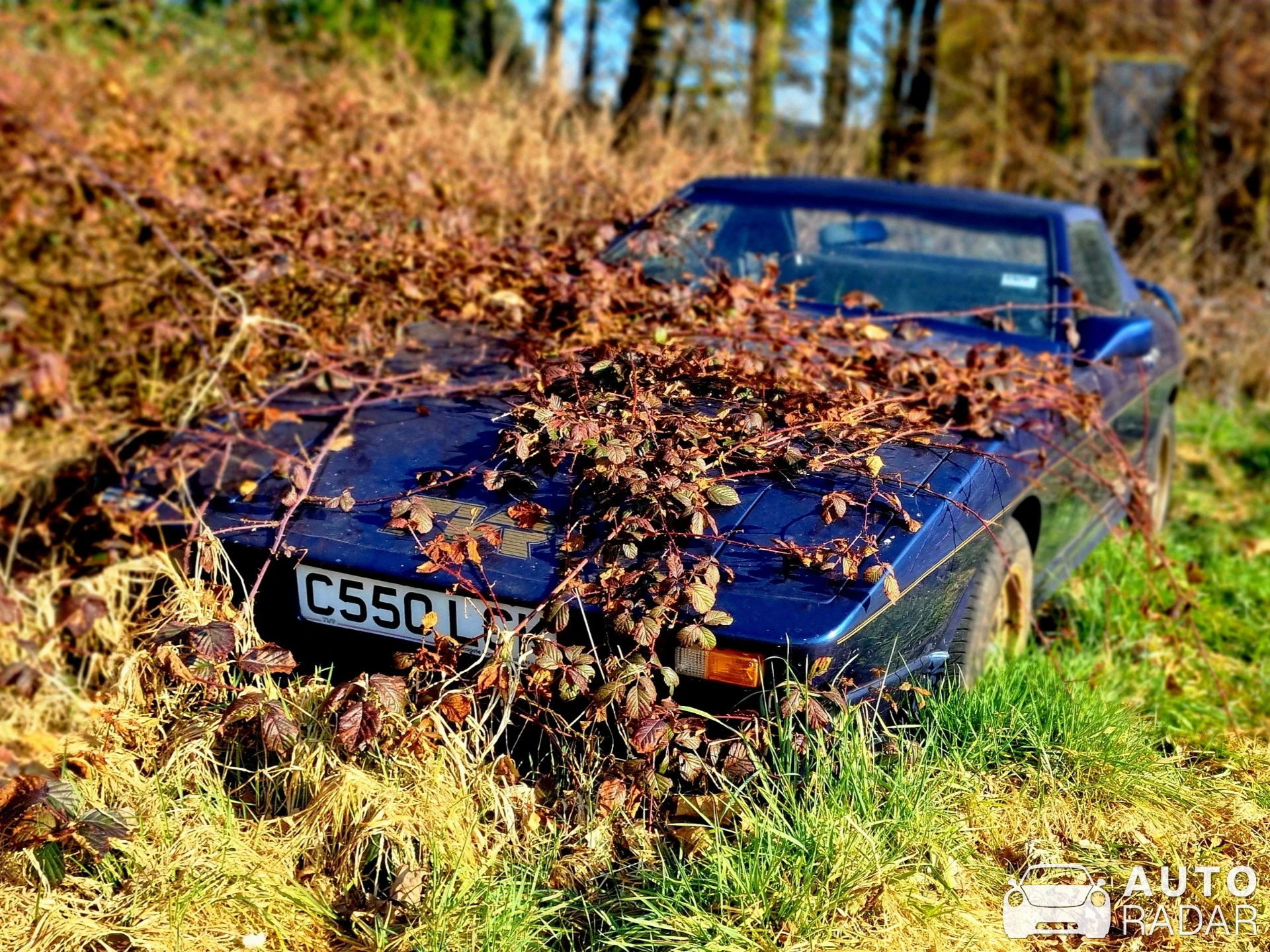 TVR 350i spotted in Hoogstraten