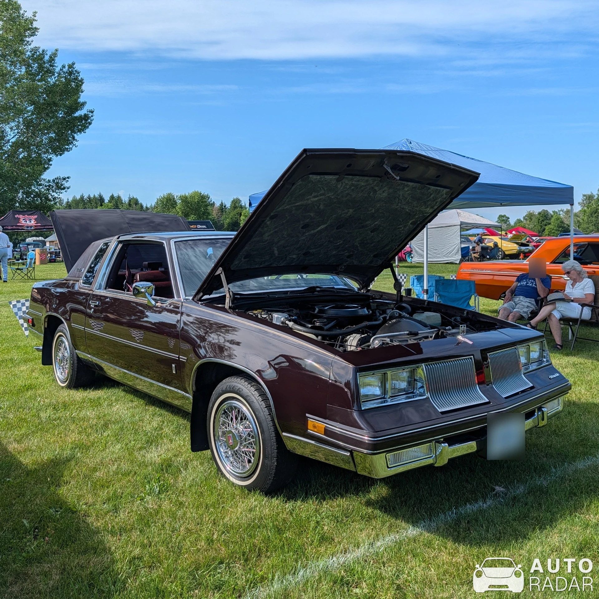 Oldsmobile Cutlass spotted in Merrickville