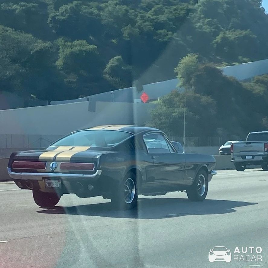 Ford Mustang GT350-H spotted in Los Angeles
