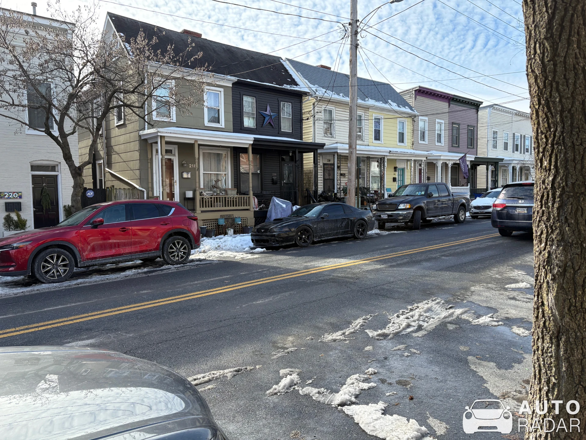 Ford Mustang Bullitt spotted in Frederick, United States