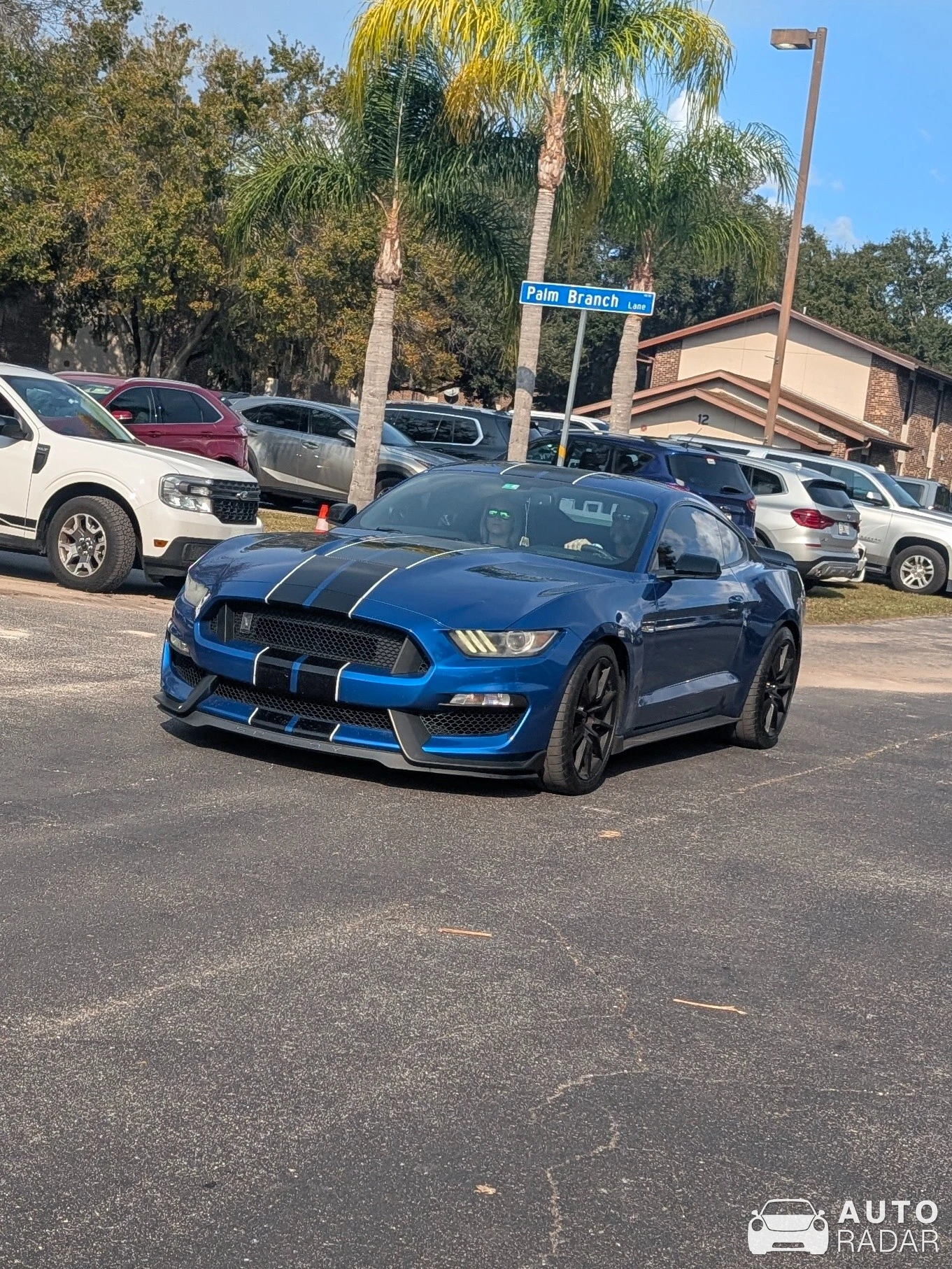 Ford Mustang Shelby GT350 spotted in Padanaha, Nepal