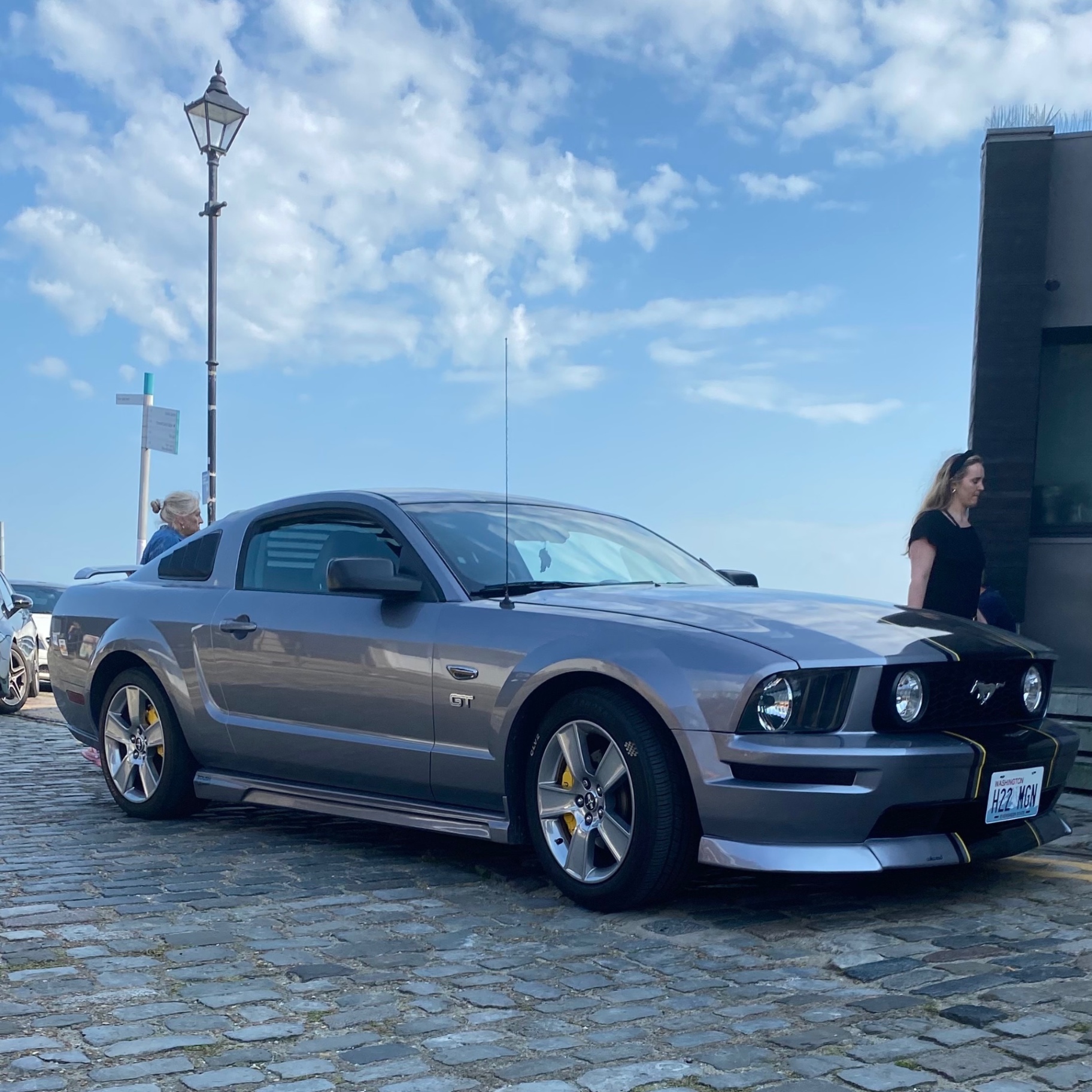 Ford Mustang GT Steeda Tuning