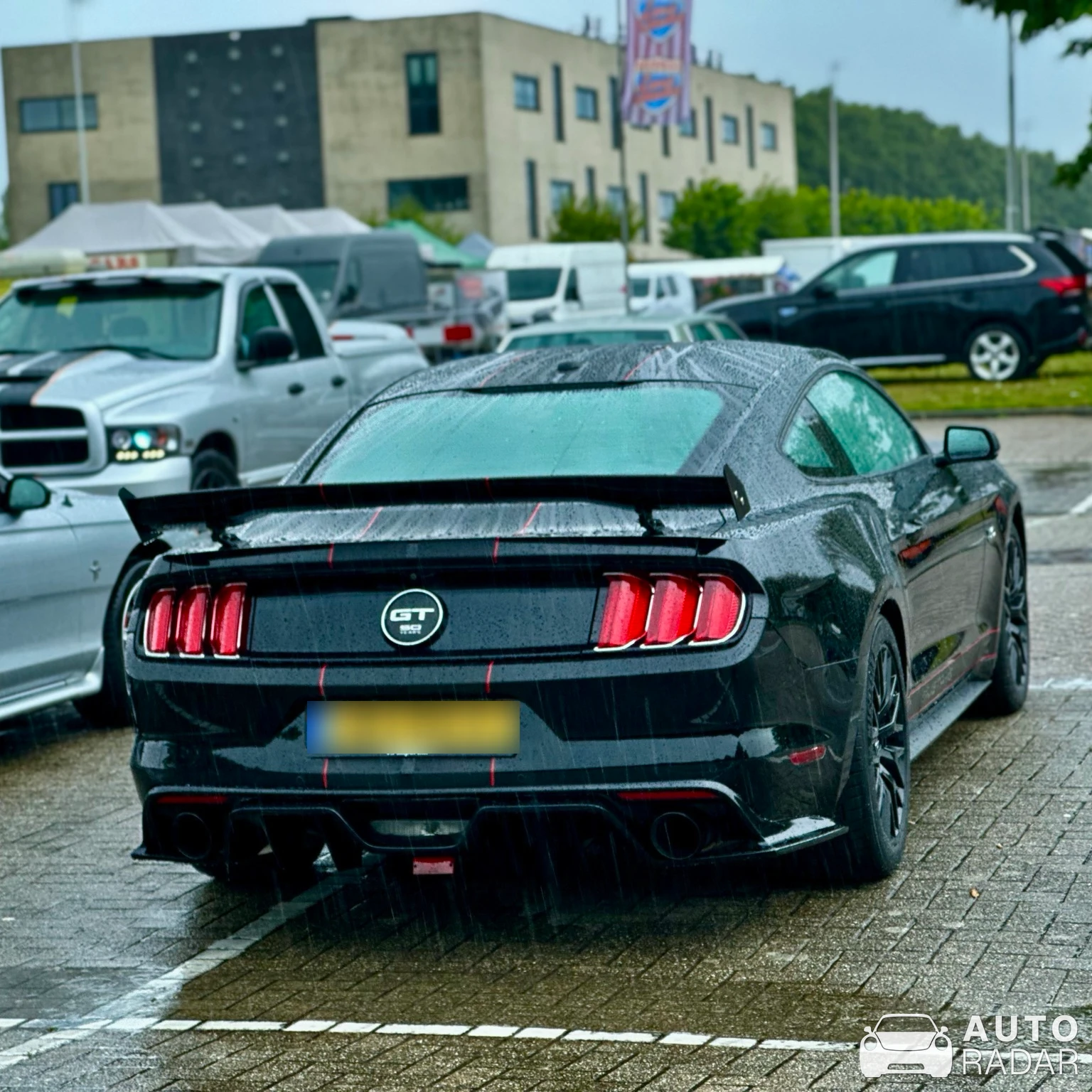 Ford Mustang GT 50th Anniversary Edition spotted in Hellevoetsluis