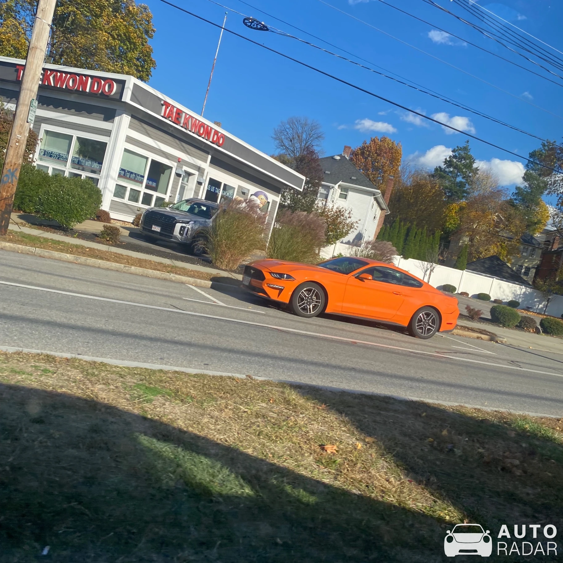 Ford Mustang GT spotted in Belmont, United States