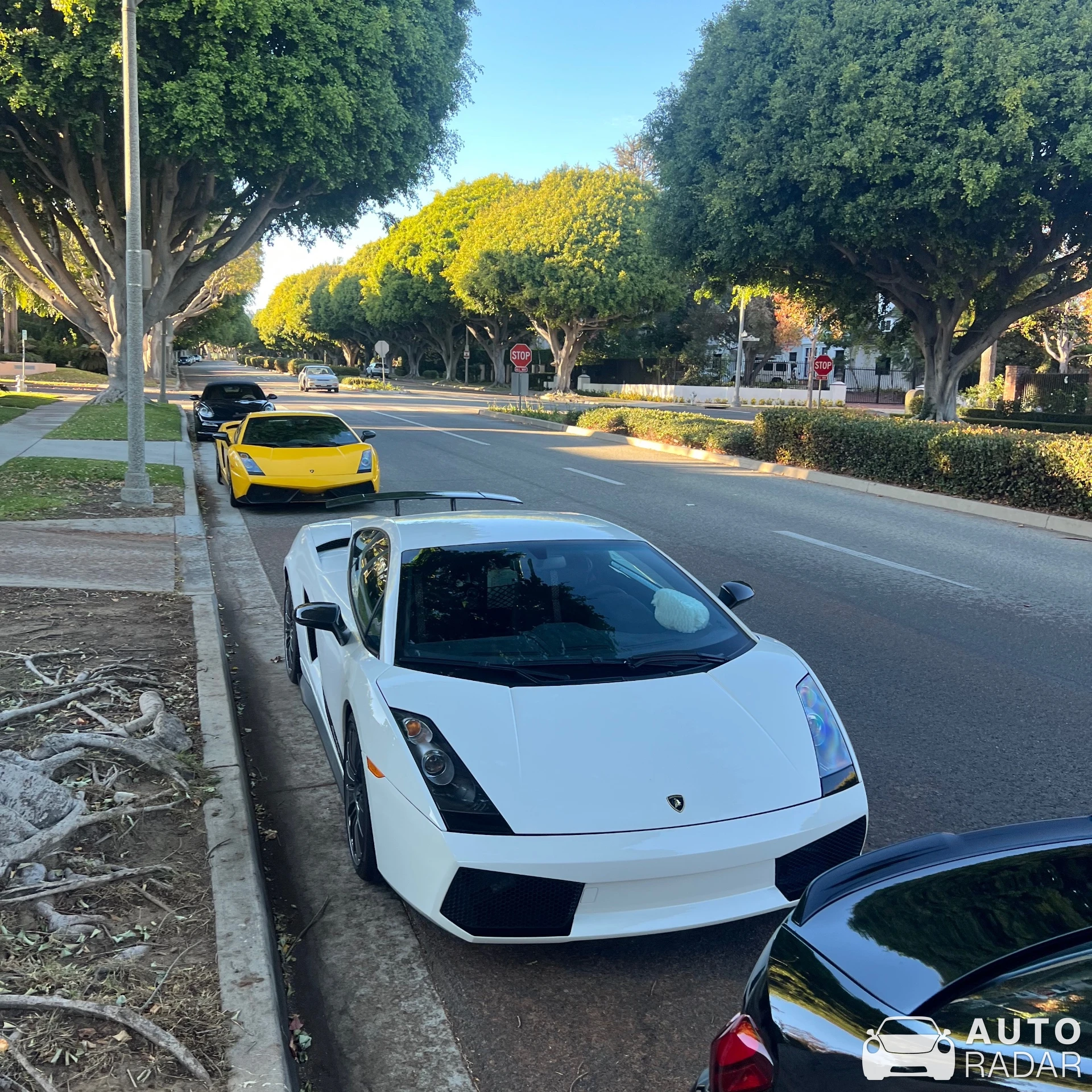 Lamborghini Gallardo Superleggera spotted in Beverly Hills, United States