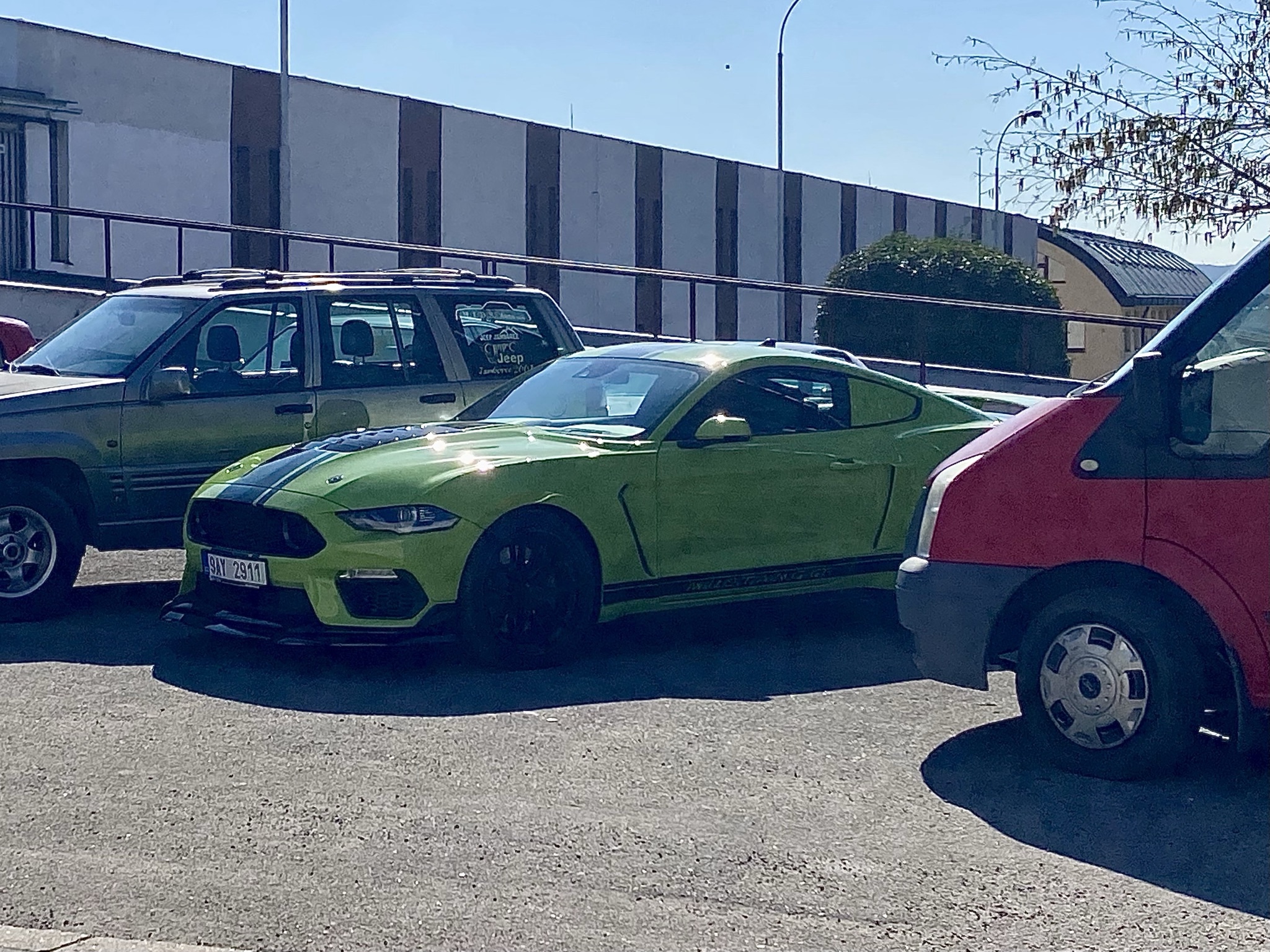 Ford Mustang GT 2018 Wolf Racing