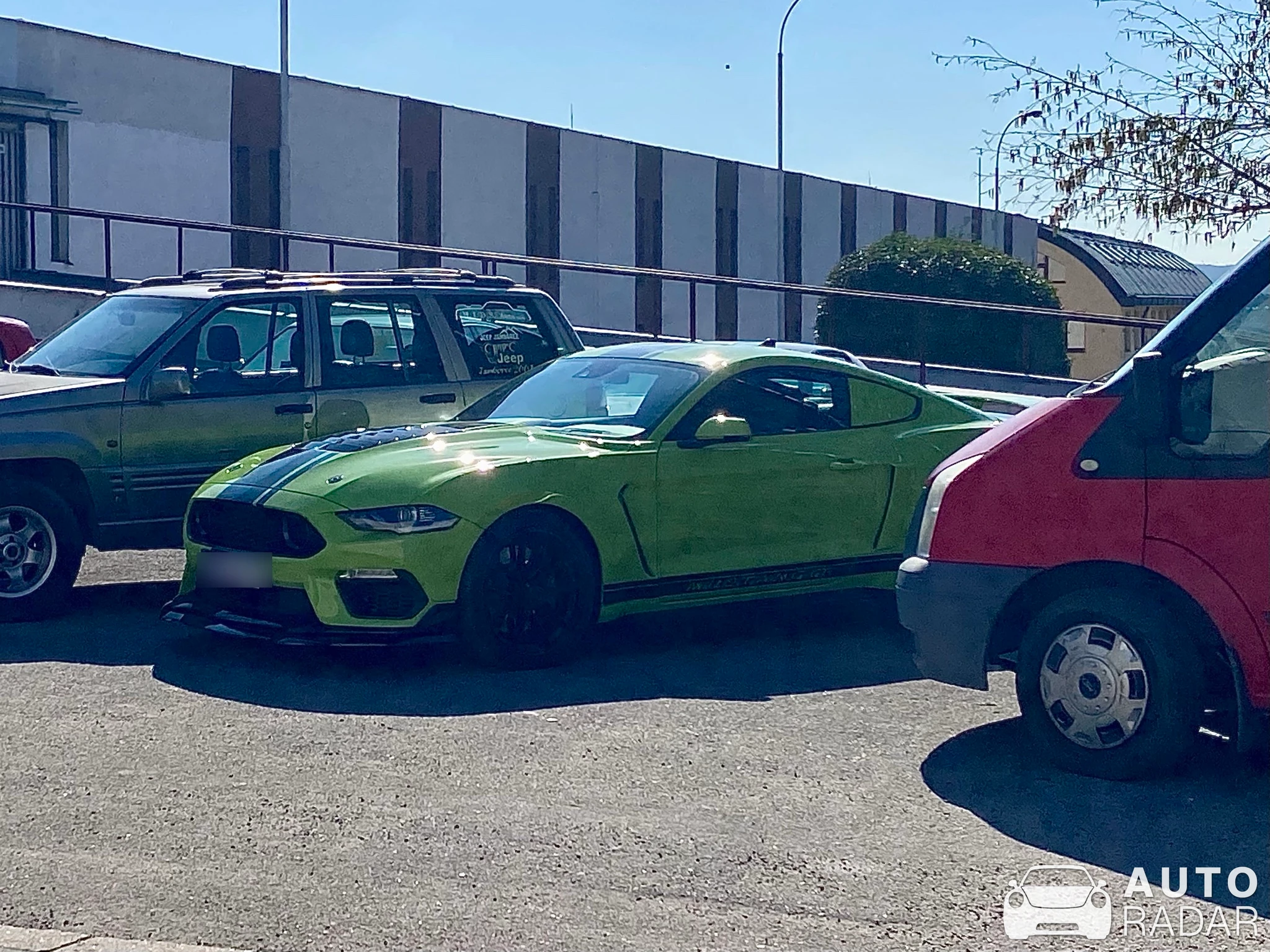 Ford Mustang GT 2018 Wolf Racing spotted