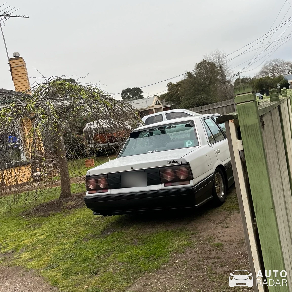 Nissan Skyline R31 spotted in Leopold