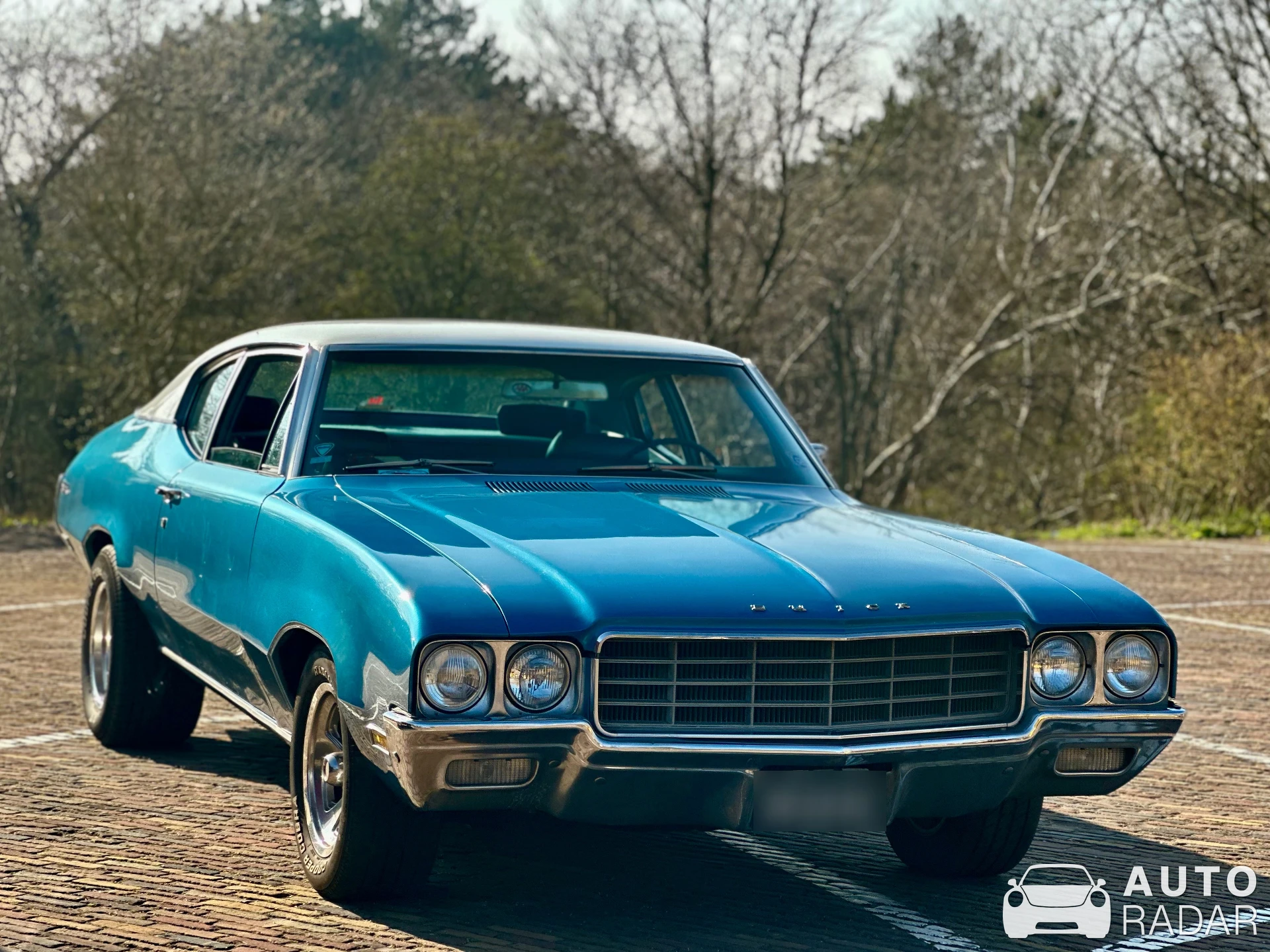 Buick Skylark spotted in Bloemendaal