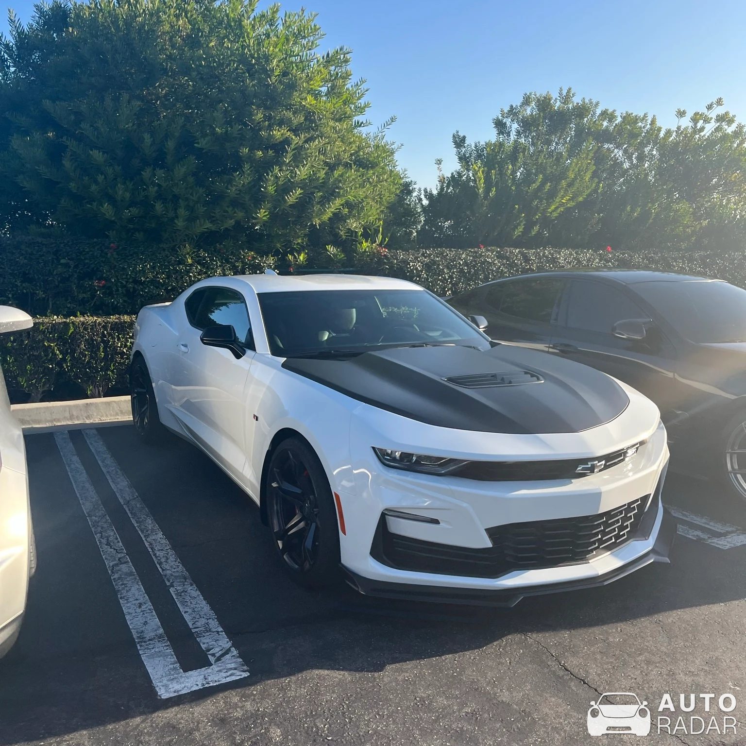 Chevrolet Camaro ZL1 1LE spotted in Hermosa Beach, United States
