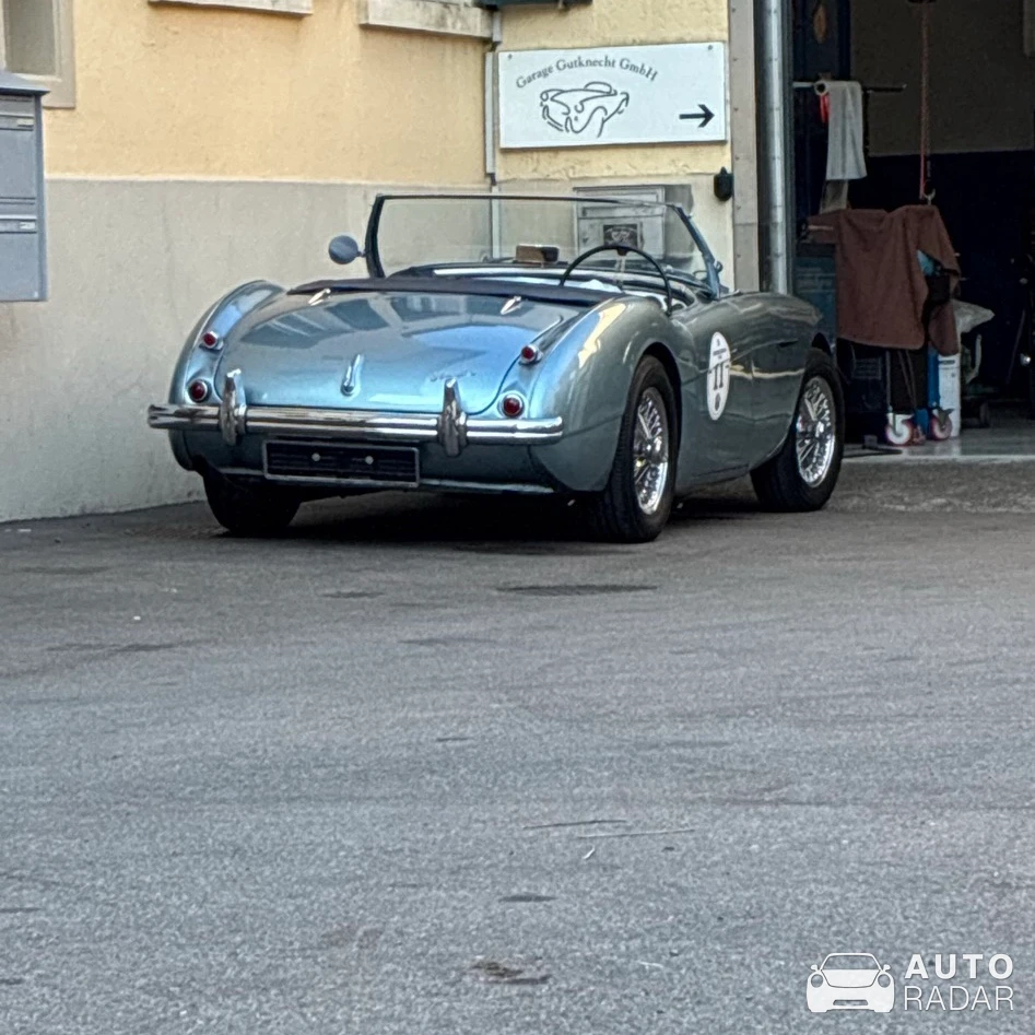 Austin-Healey 100/6 spotted in Adliswil