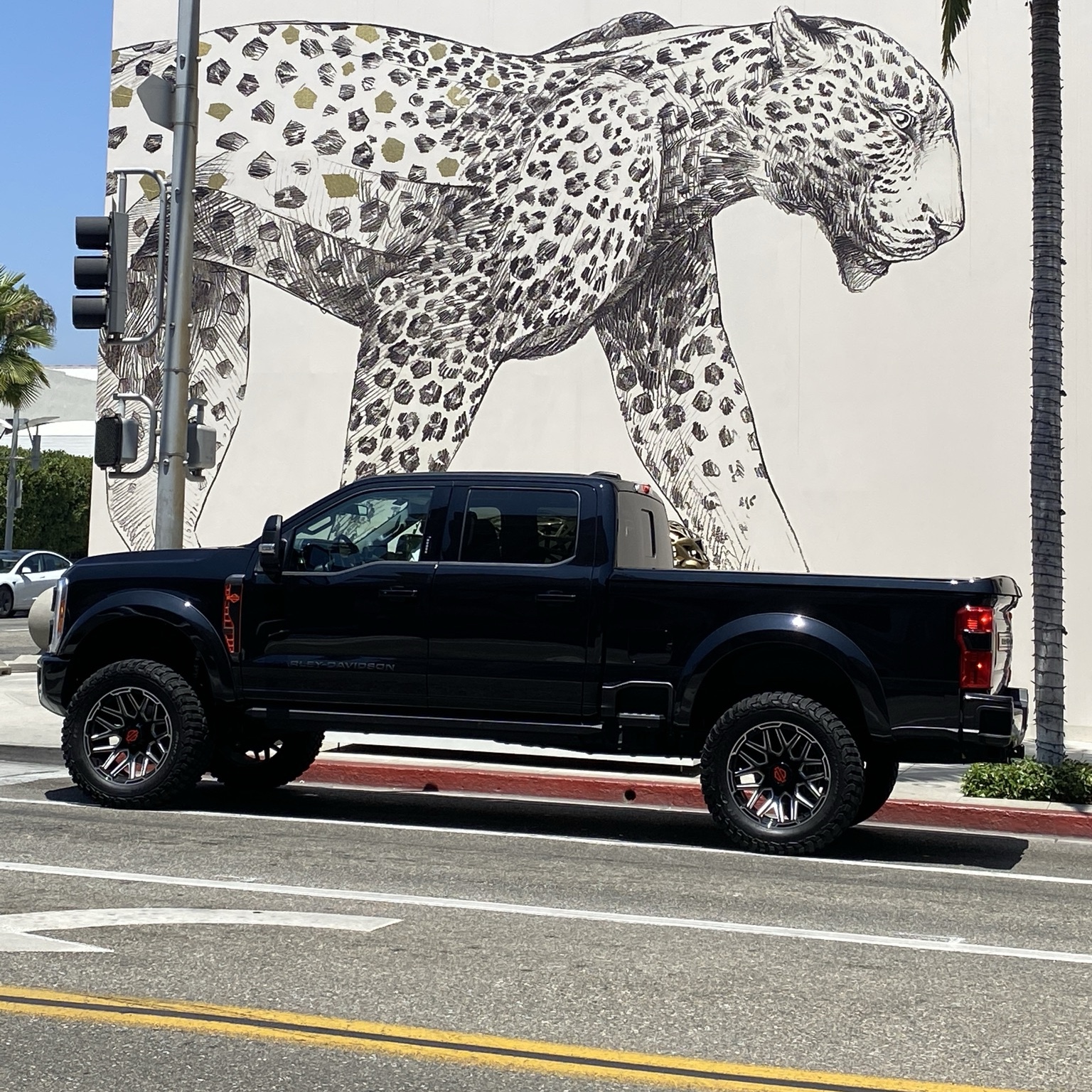 Ford F-150 Harley Davidson