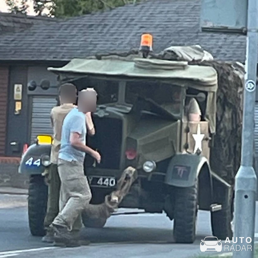DAF 33 spotted