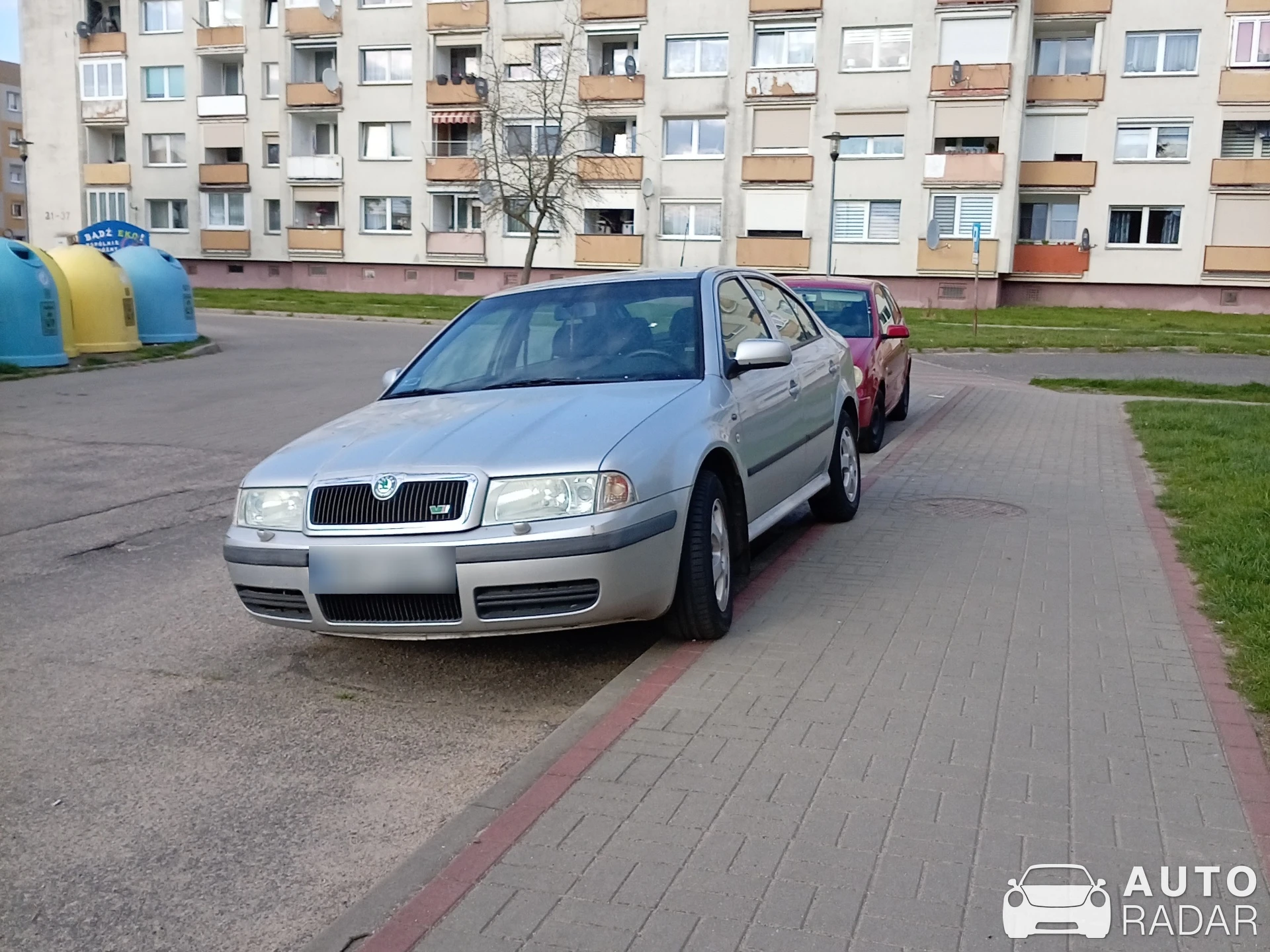Škoda Octavia spotted in Dębno