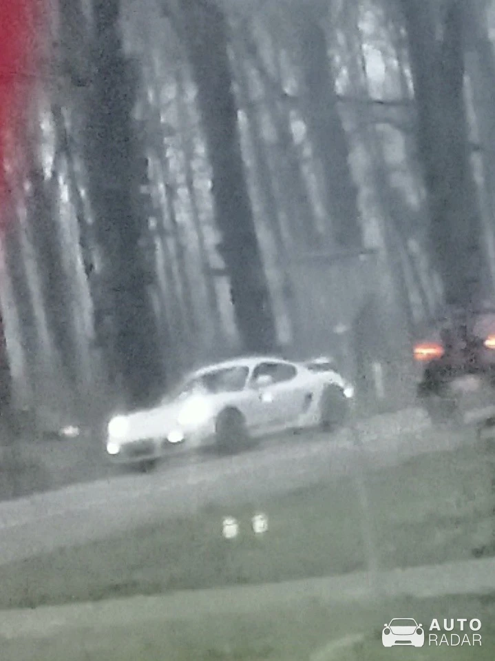 Porsche 718 Cayman GT4 spotted in Ruurlo, Netherlands