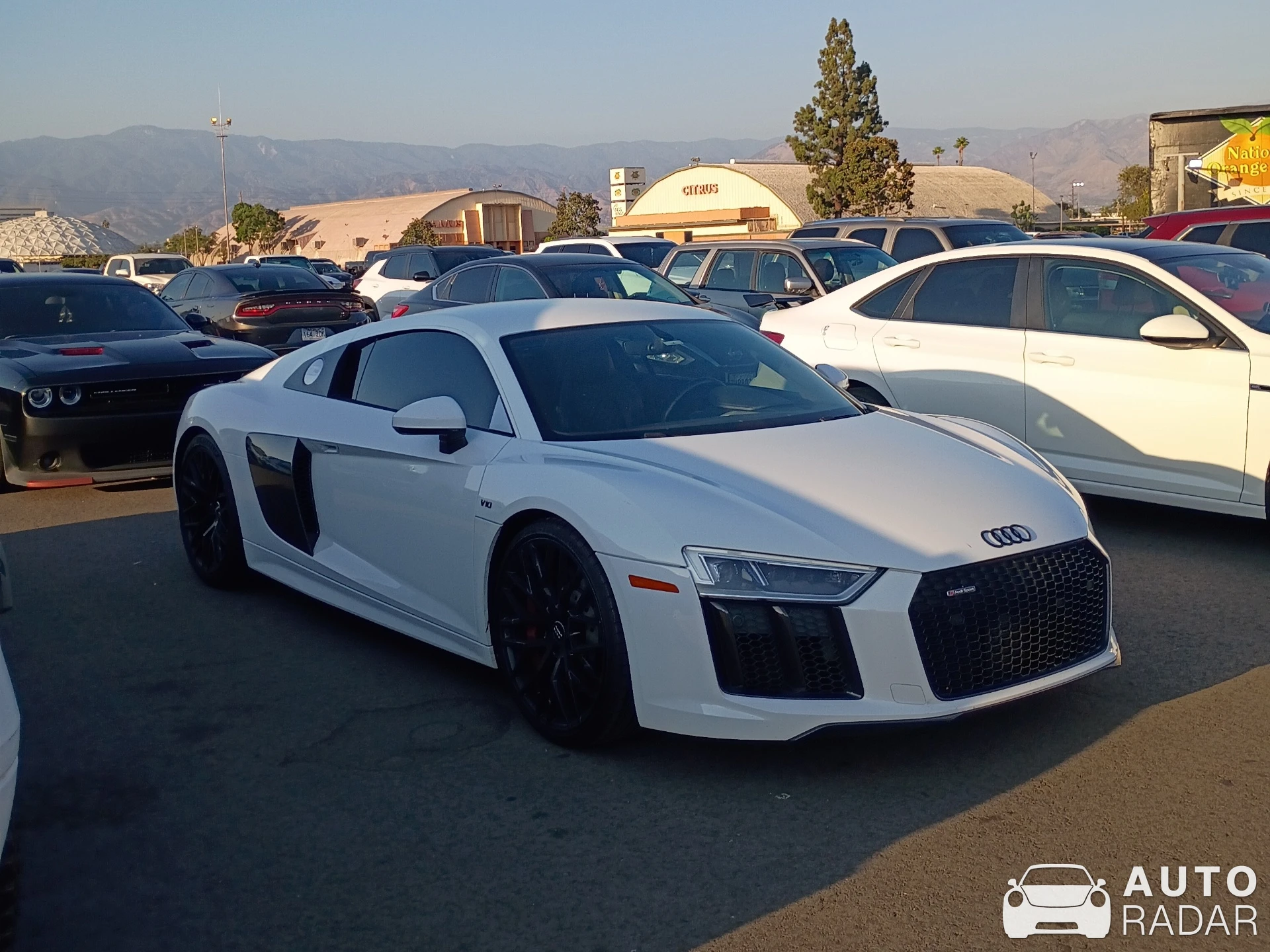 Audi R8 V10 Plus Sport Edition spotted in San Bernardino