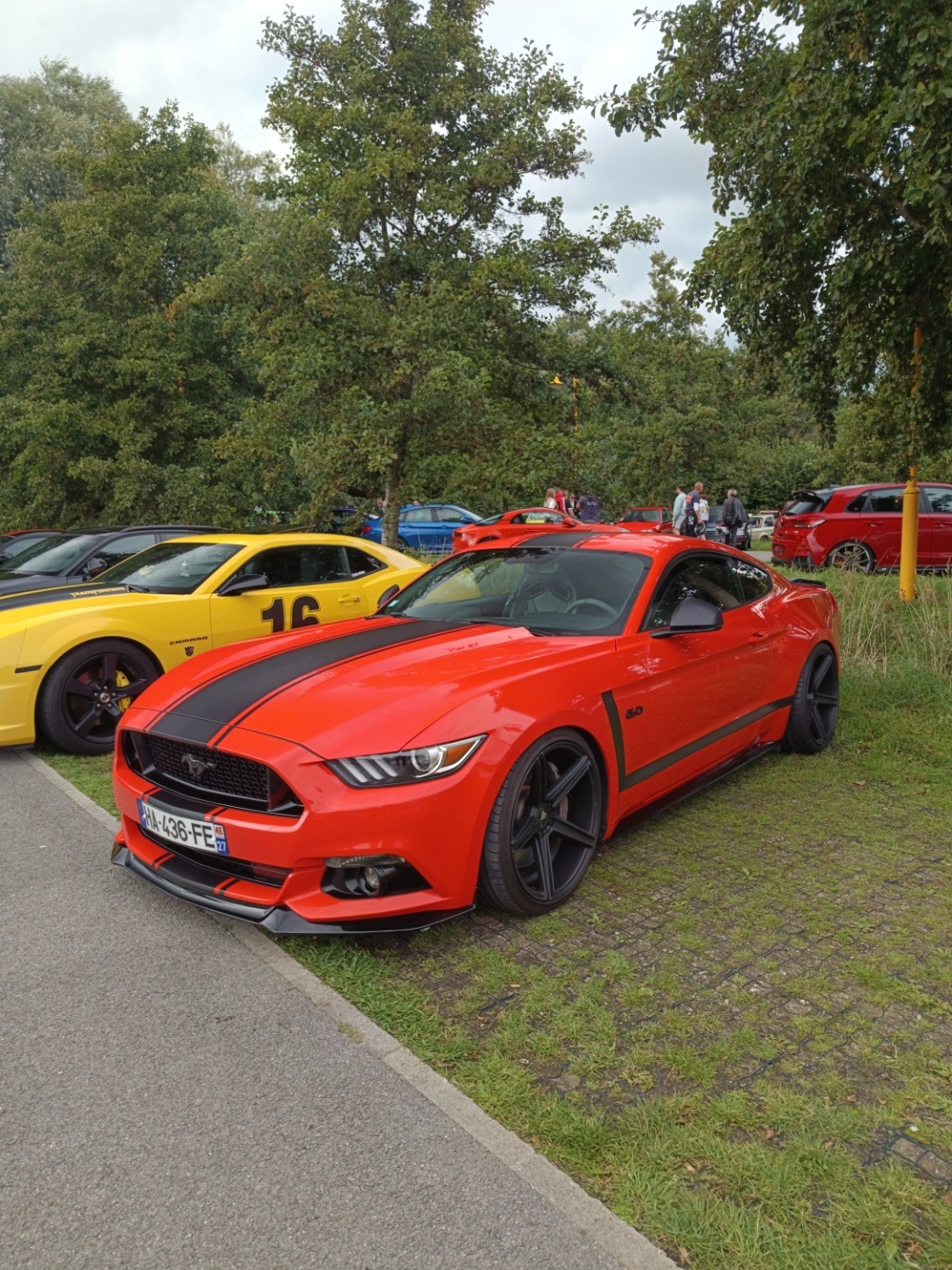 Ford Mustang GT 50th Anniversary Convertible