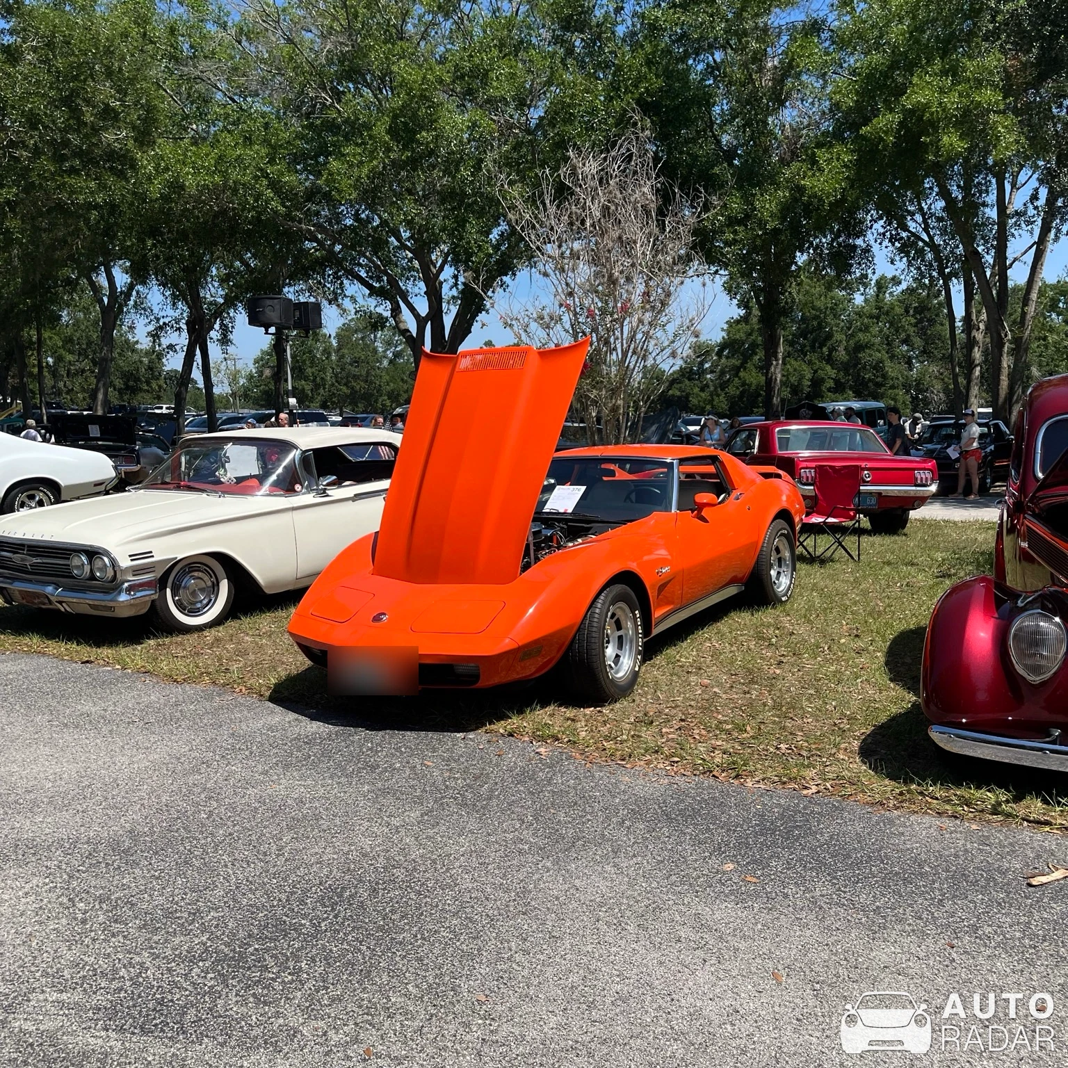 Chevrolet Corvette C3 Greenwood spotted in Brandon