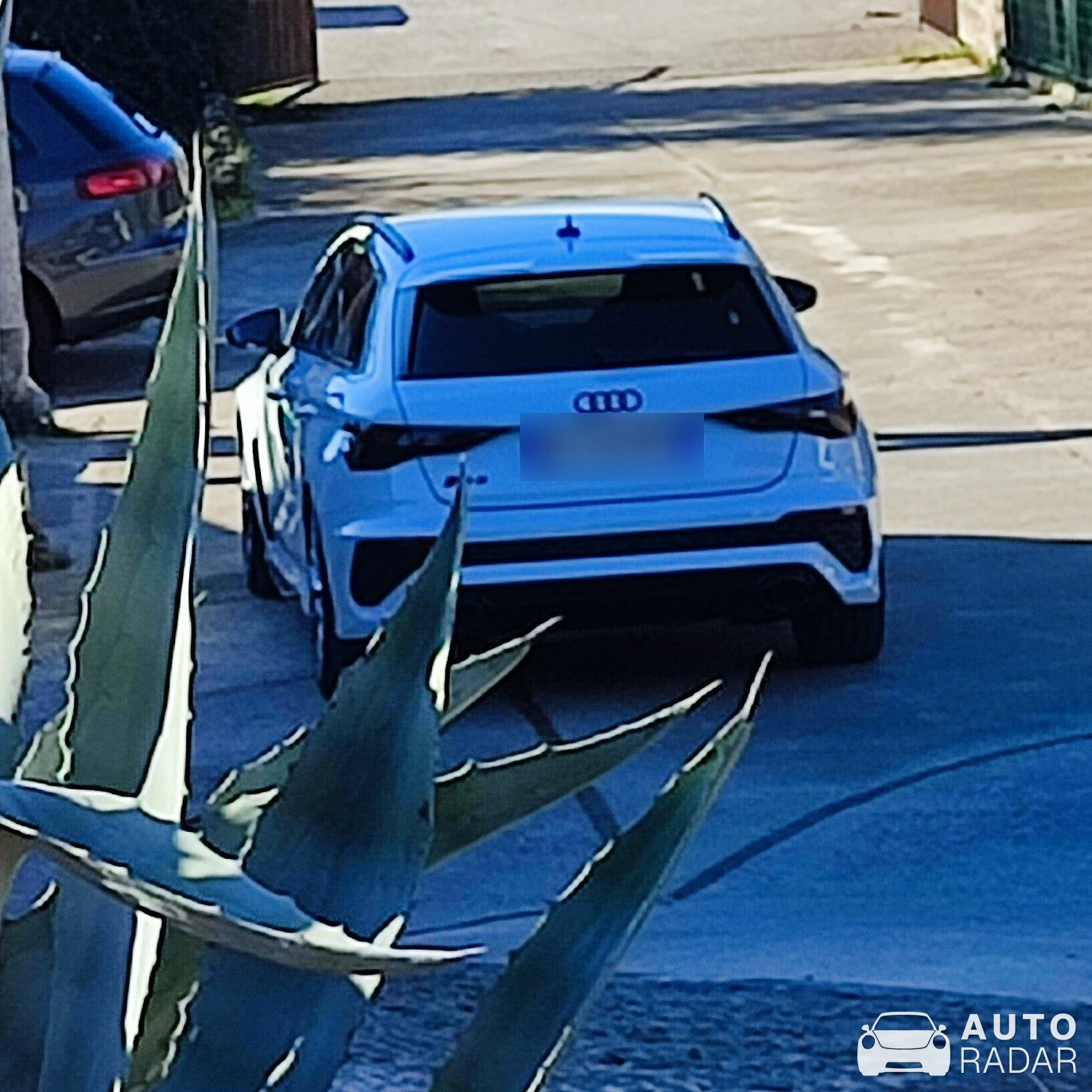 Audi RS3 Sportback 8Y spotted in Sala Consilina, Italia